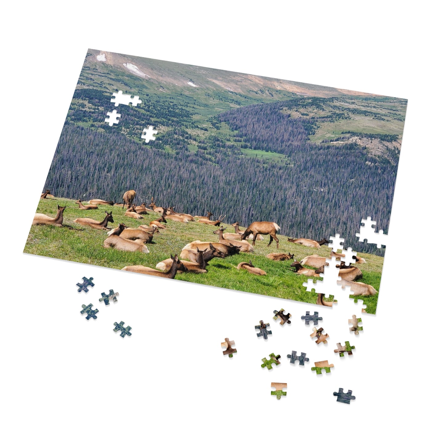 Elk-tastic Puzzling: A Wild Adventure!, Jigsaw Puzzle, Rocky Mountain, Elk Herd