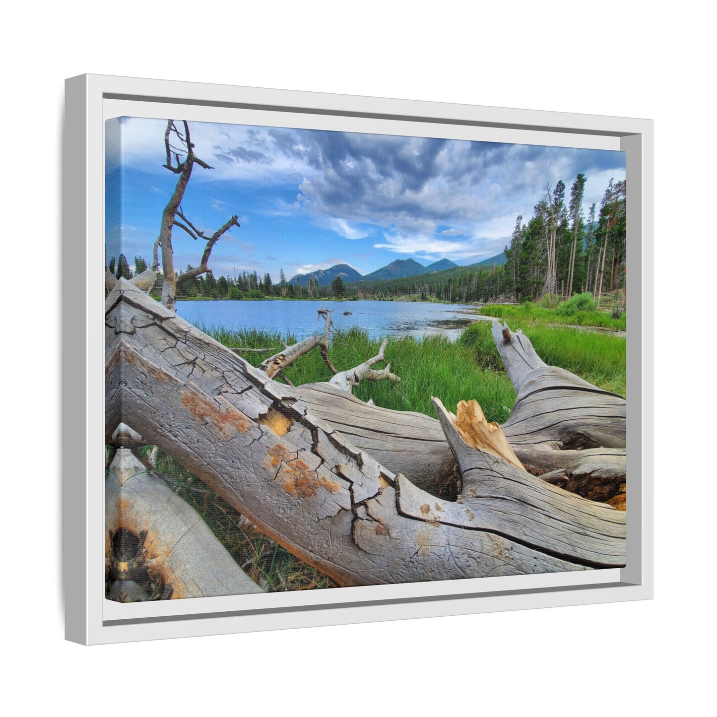 Sprague Lake