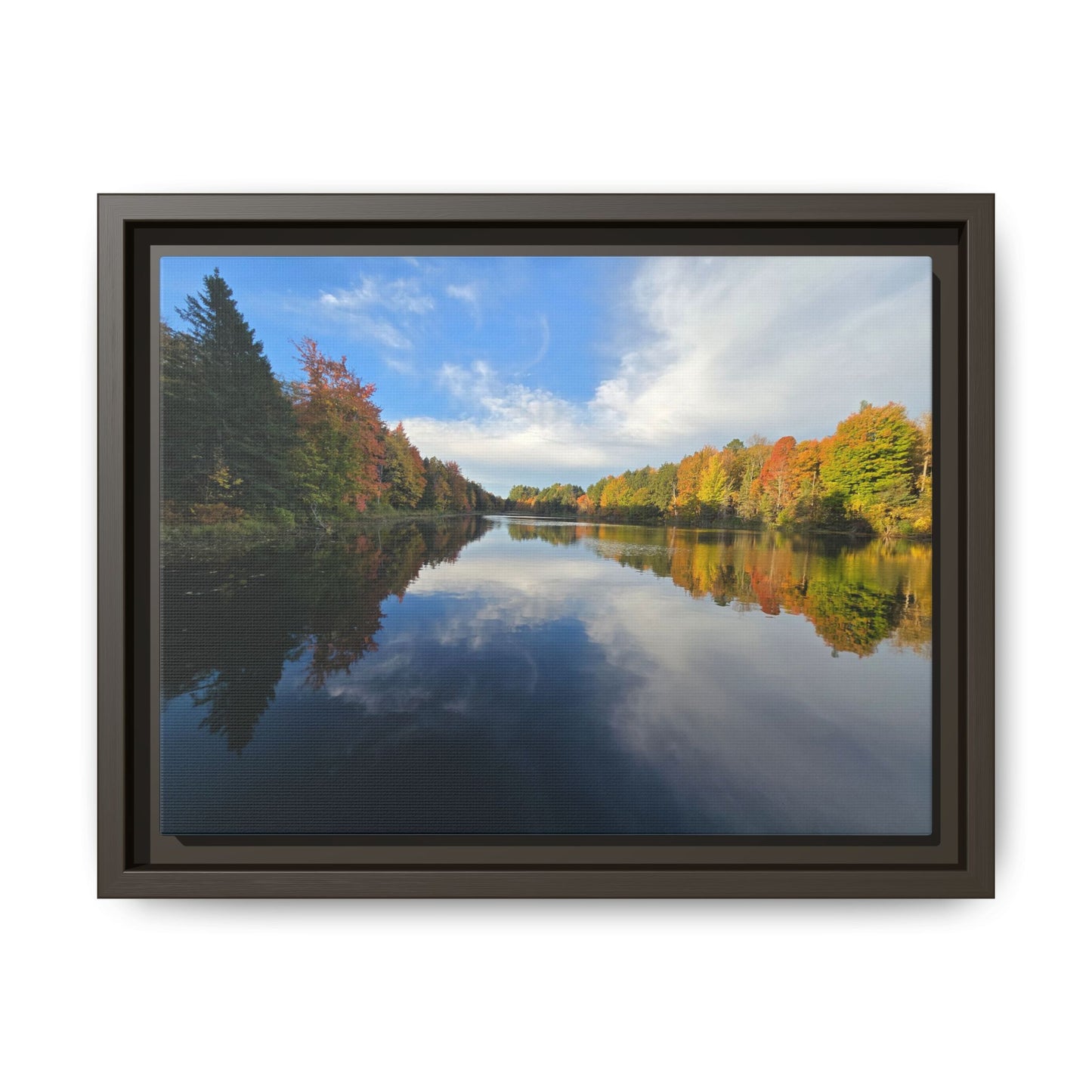 Remington Pond: Nature Showing Off Again
