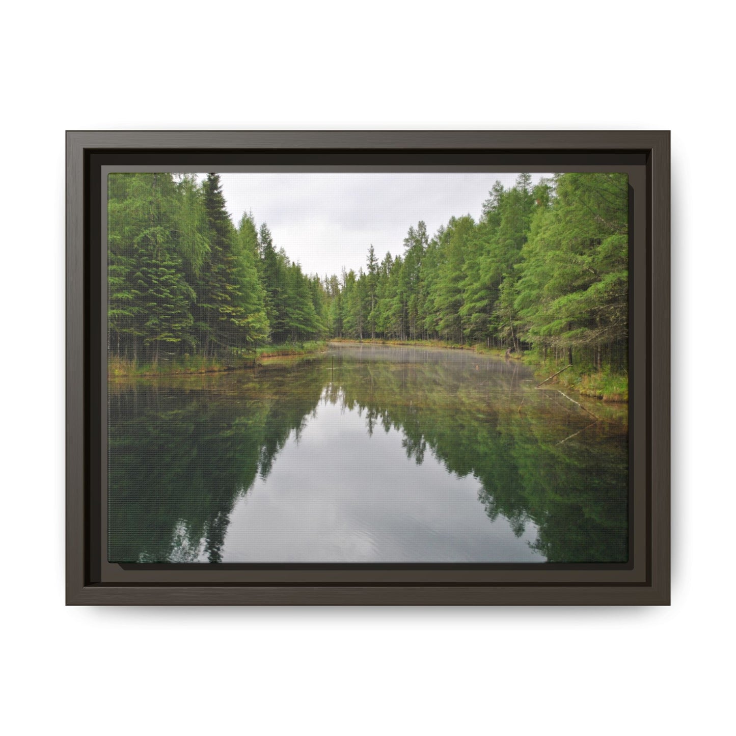 Kitch-iti-Kipi Reflection