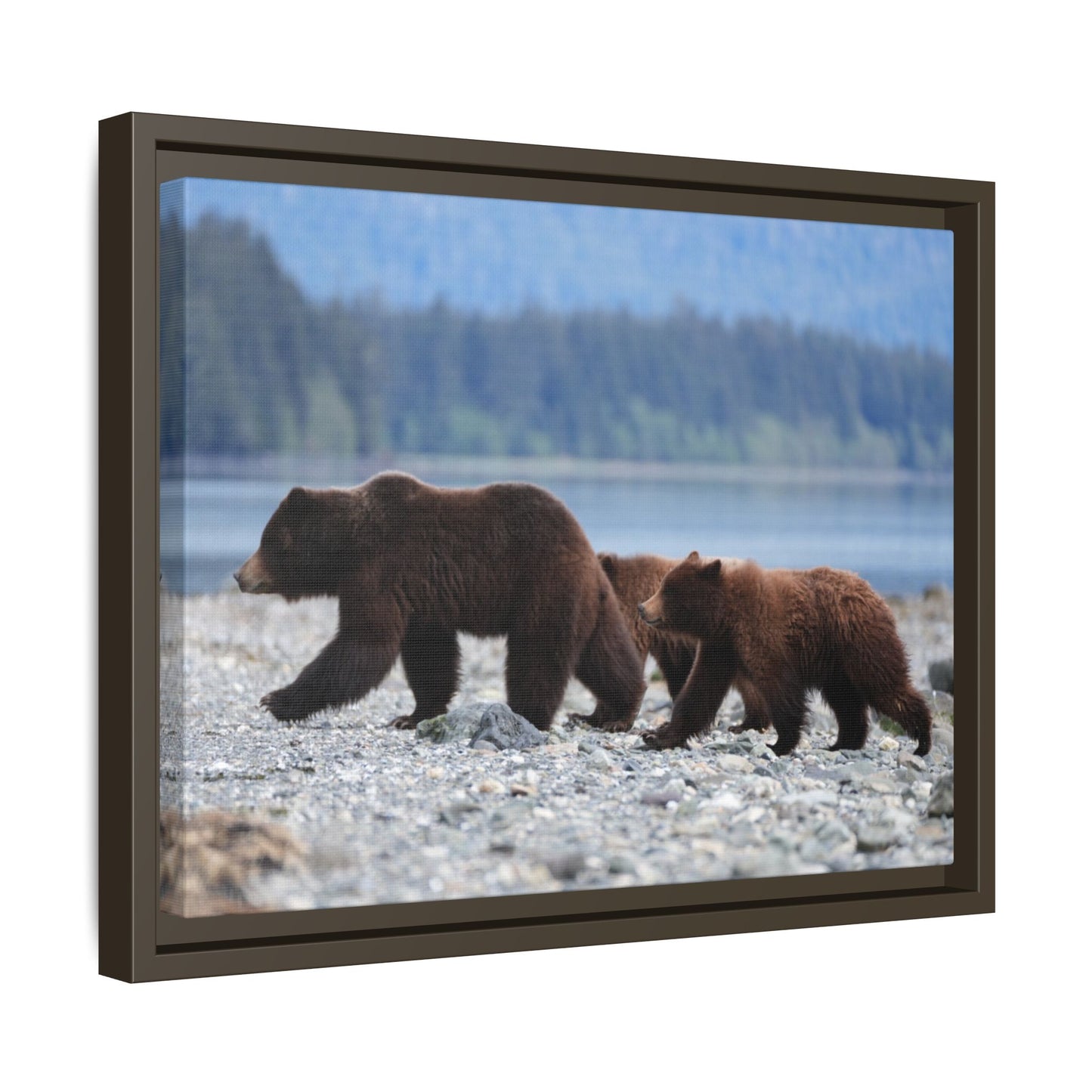 Mother Grizzly Bear & Cubs