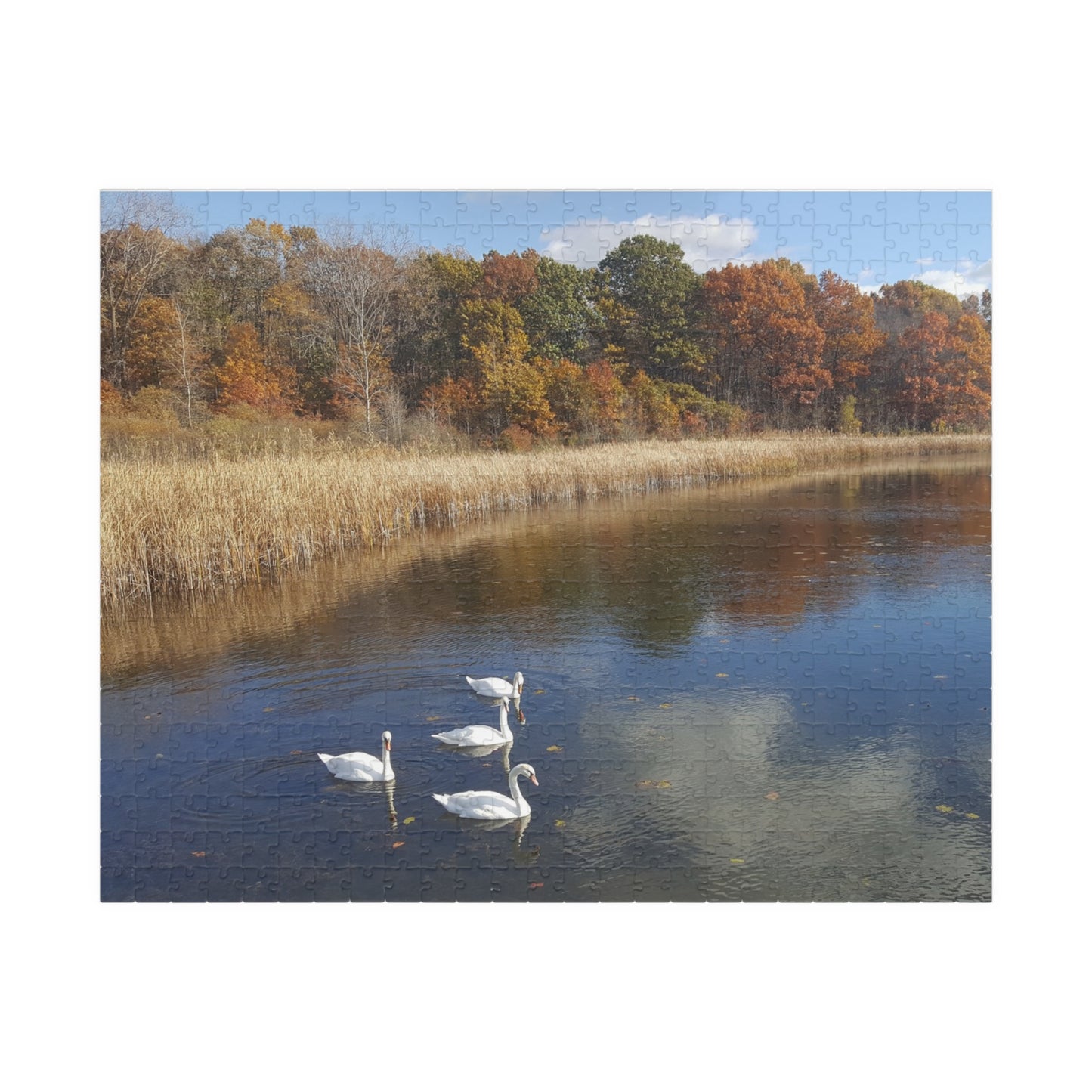 Swan Dive into Puzzling Serenity, Jigsaw Puzzle, Nature Scene, Relaxing Activity, Wildlife Lover Gift