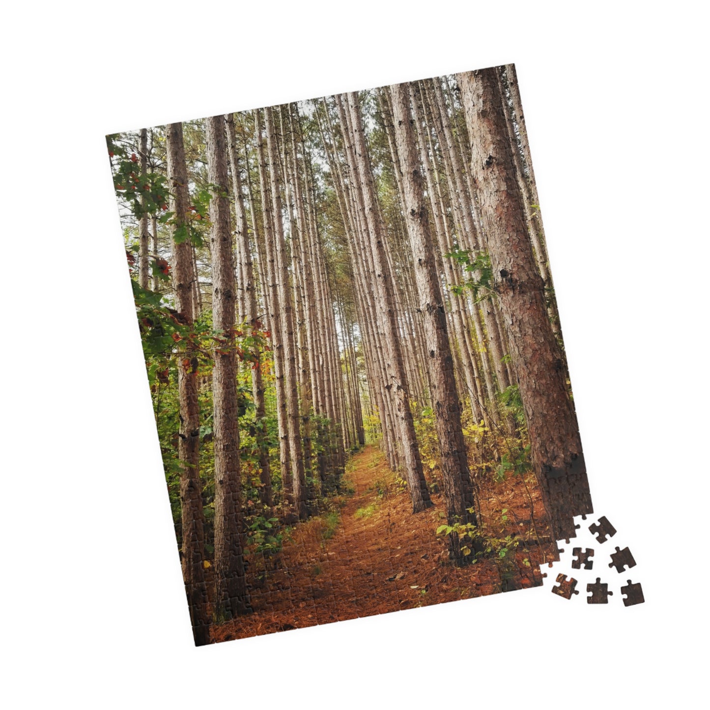 Pine-sational Puzzling: A Walk on the Wild Side, Jigsaw Puzzle, Brain Teaser, Relaxation Activity, Cabin Decor, Holiday Gift