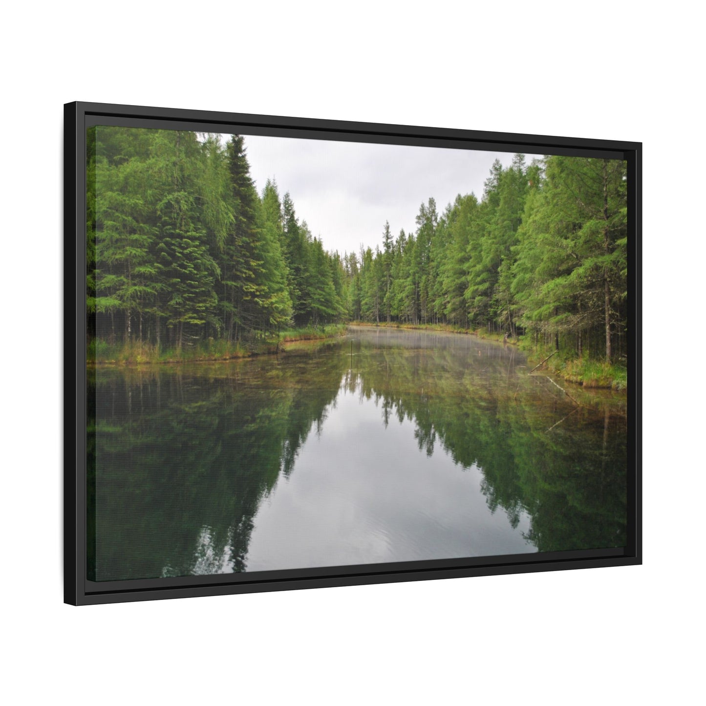 Kitch-iti-Kipi Reflection