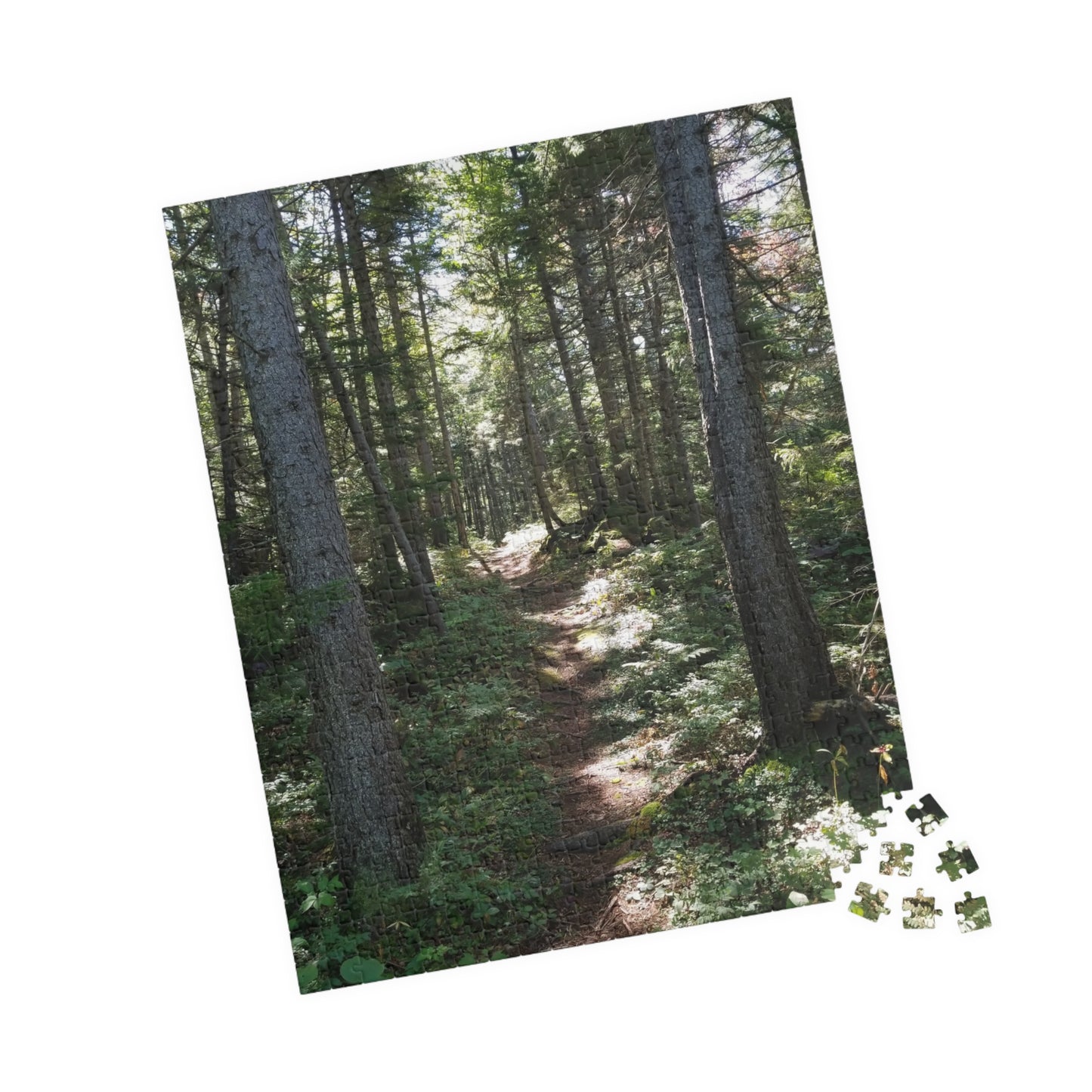 Take a Hike—Without the Mosquitoes, Jigsaw Puzzle