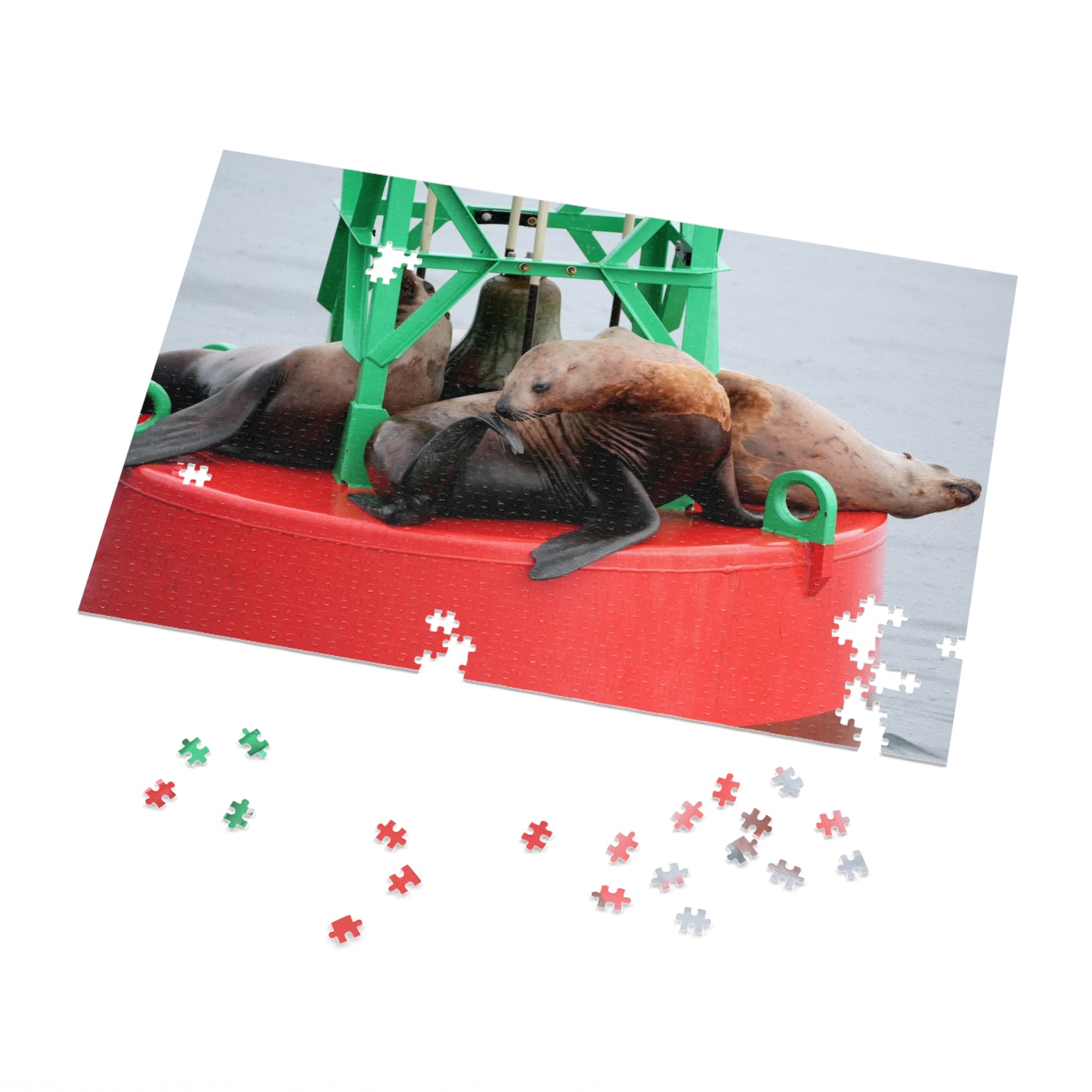 Buoy, That’s a Lot of Pieces!, Jigsaw Puzzle, Sea Lions