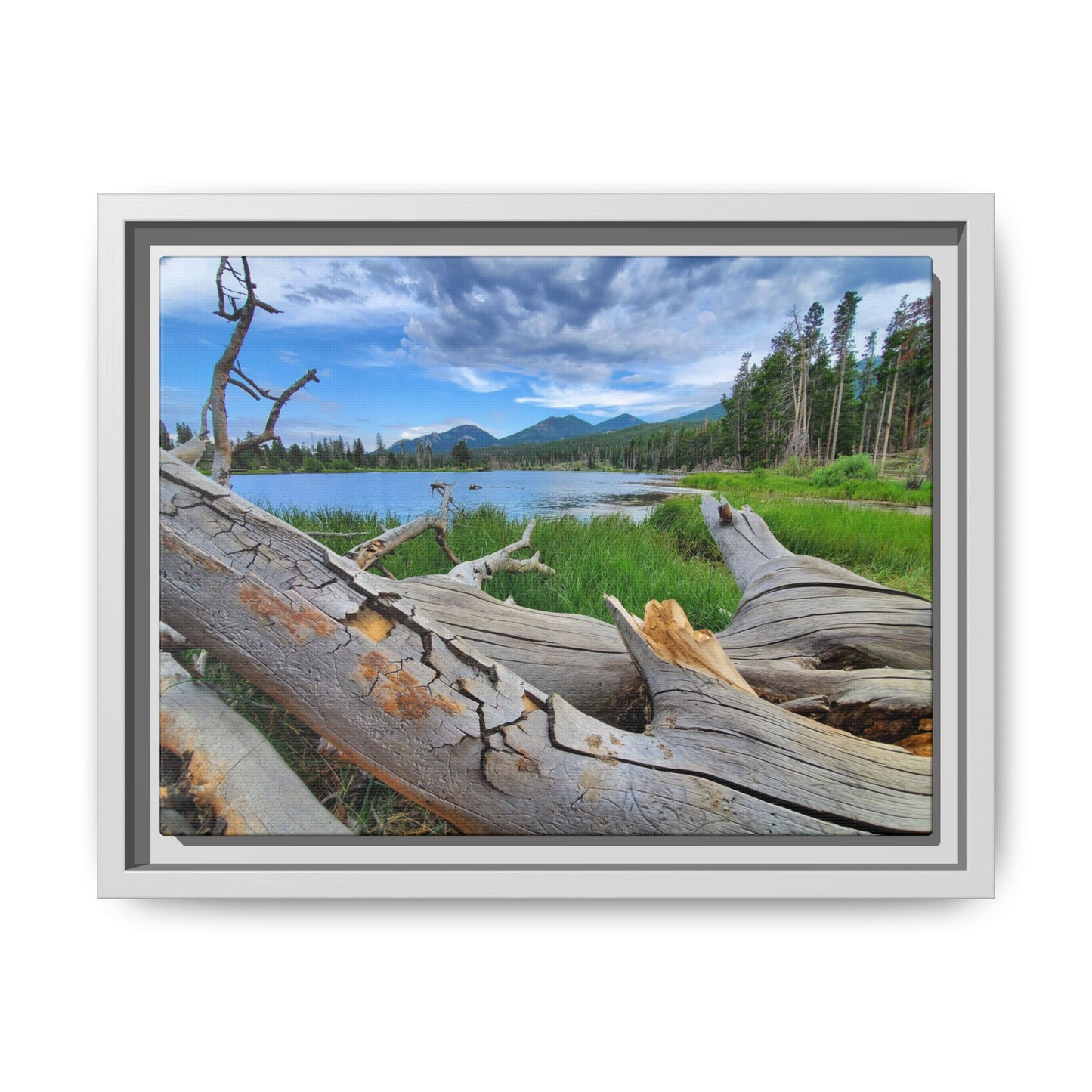 Sprague Lake