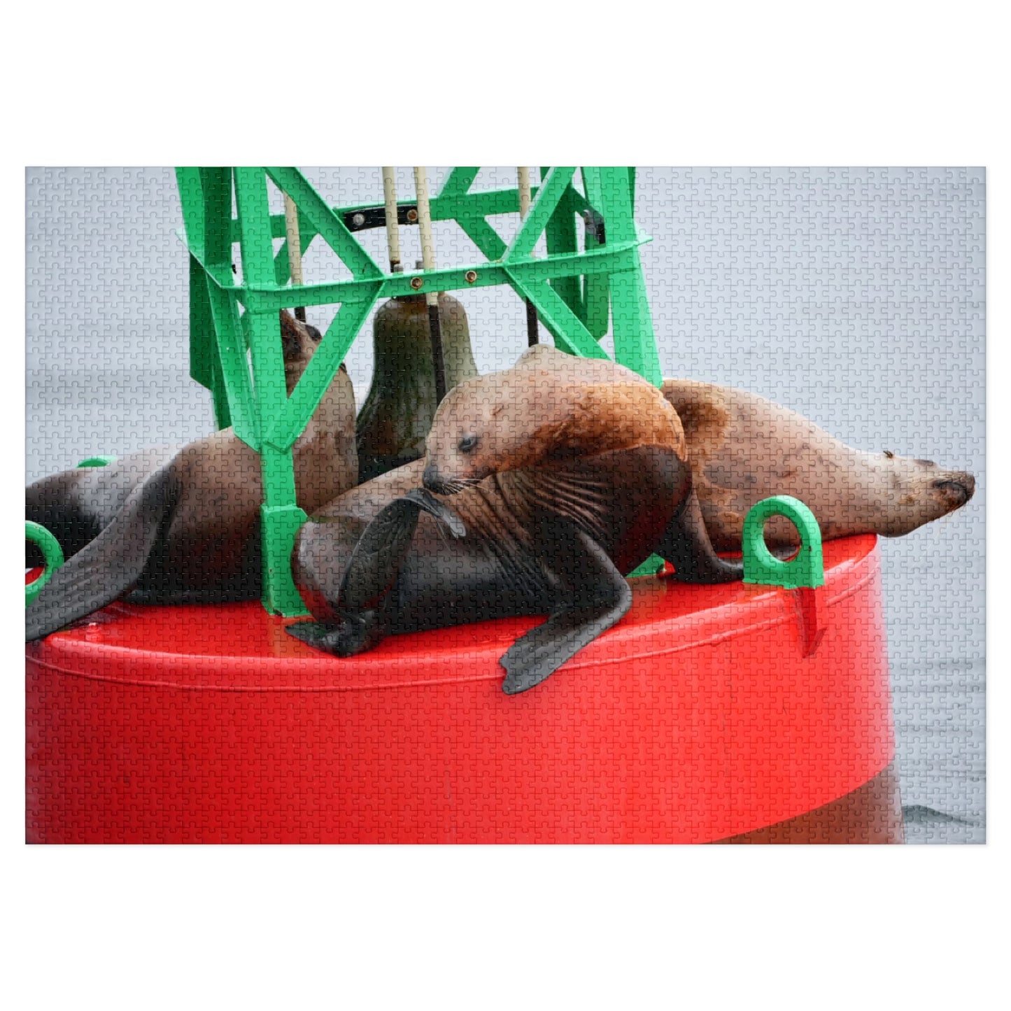 Buoy, That’s a Lot of Pieces!, Jigsaw Puzzle, Sea Lions