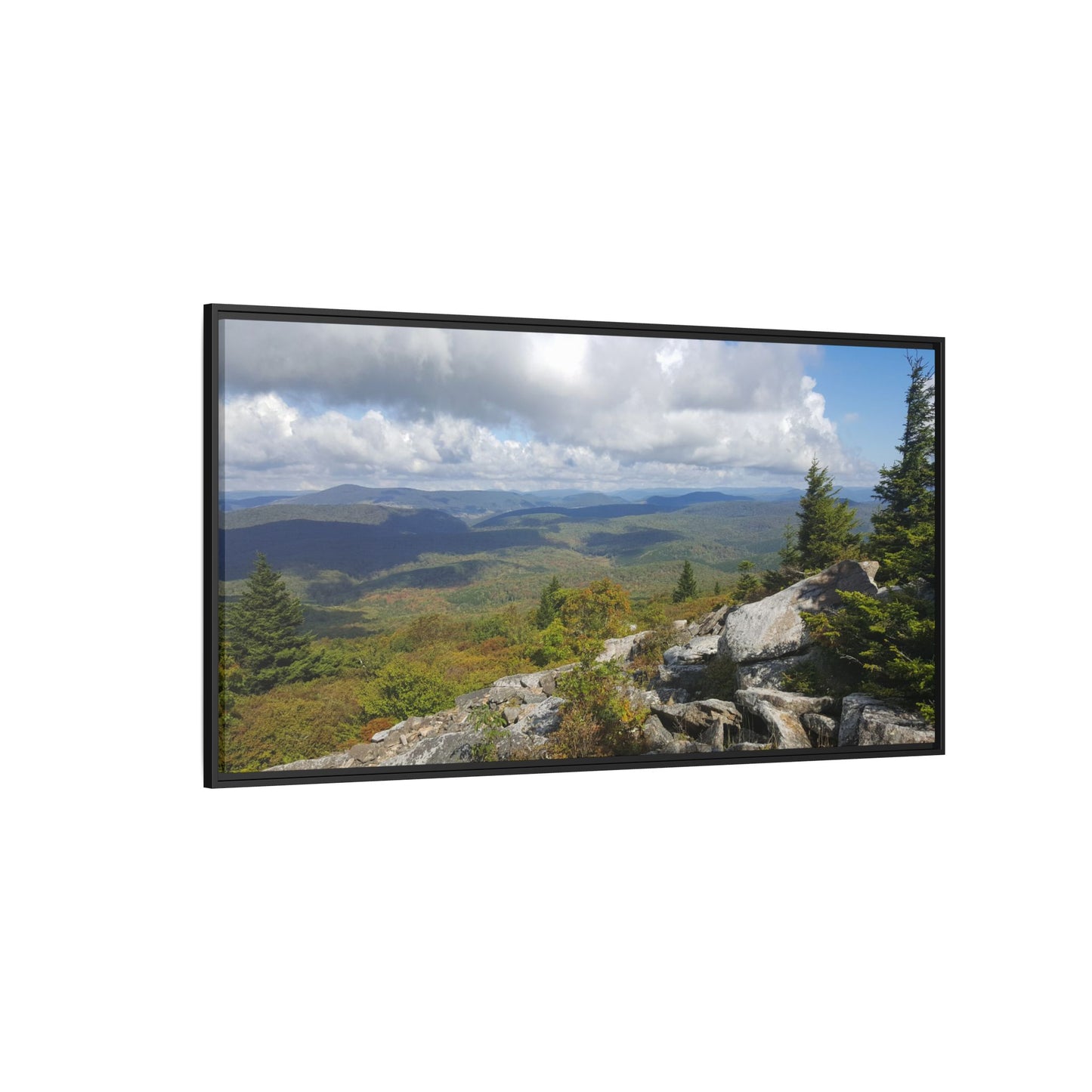 Spruce Knob Summit View