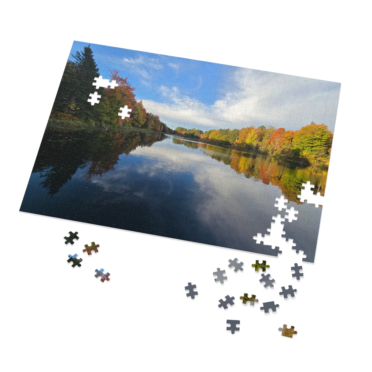 Pond Reflections, Nature Puzzle