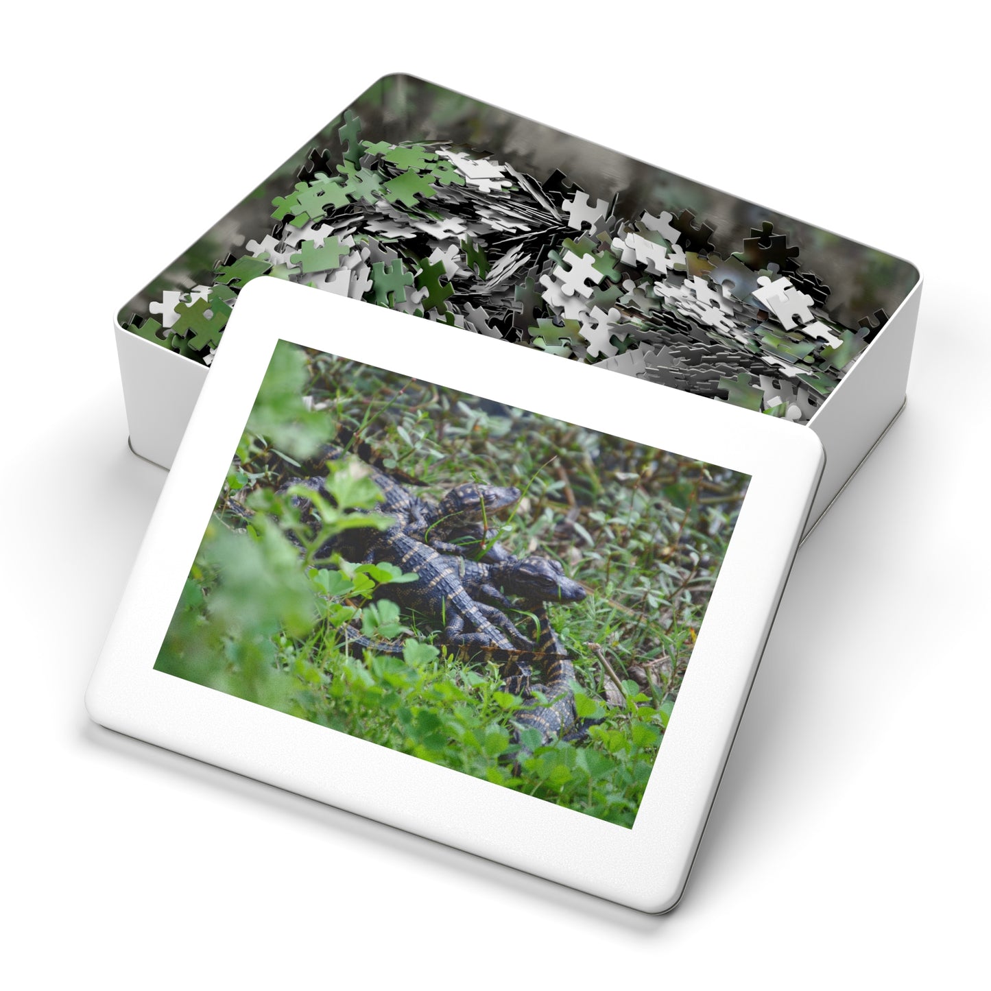 Get Snappy with Our Baby Alligator Puzzle!, Jigsaw Puzzle with Tin