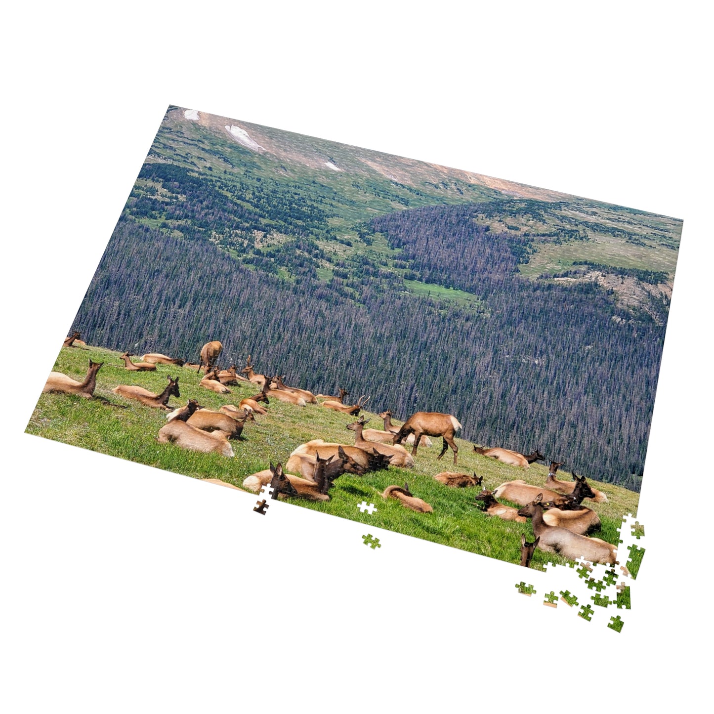 Elk-tastic Puzzling: A Wild Adventure!, Jigsaw Puzzle, Rocky Mountain, Elk Herd