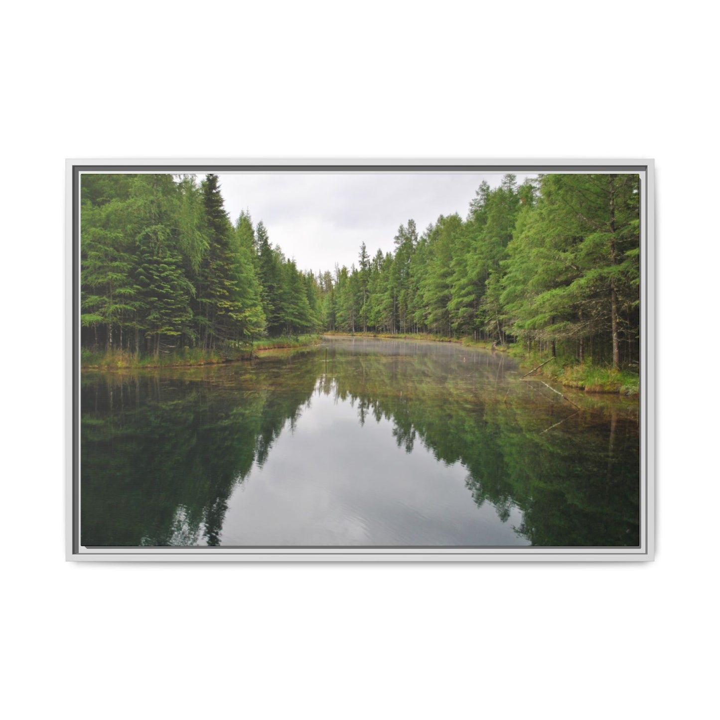 Kitch-iti-Kipi Reflection