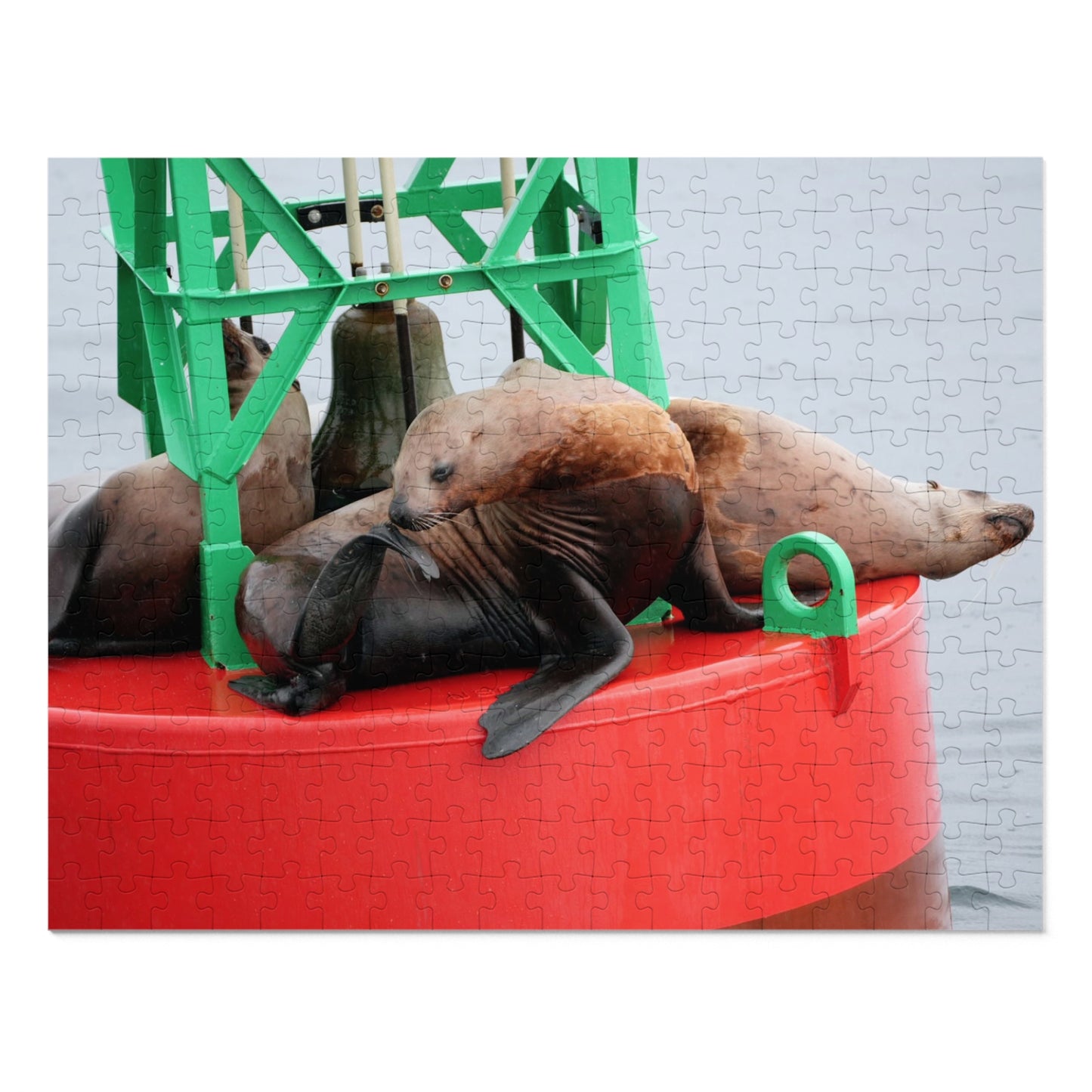 Buoy, That’s a Lot of Pieces!, Jigsaw Puzzle, Sea Lions