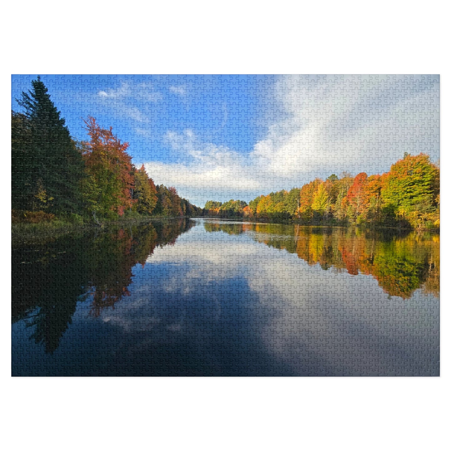 Pond Reflections, Nature Puzzle