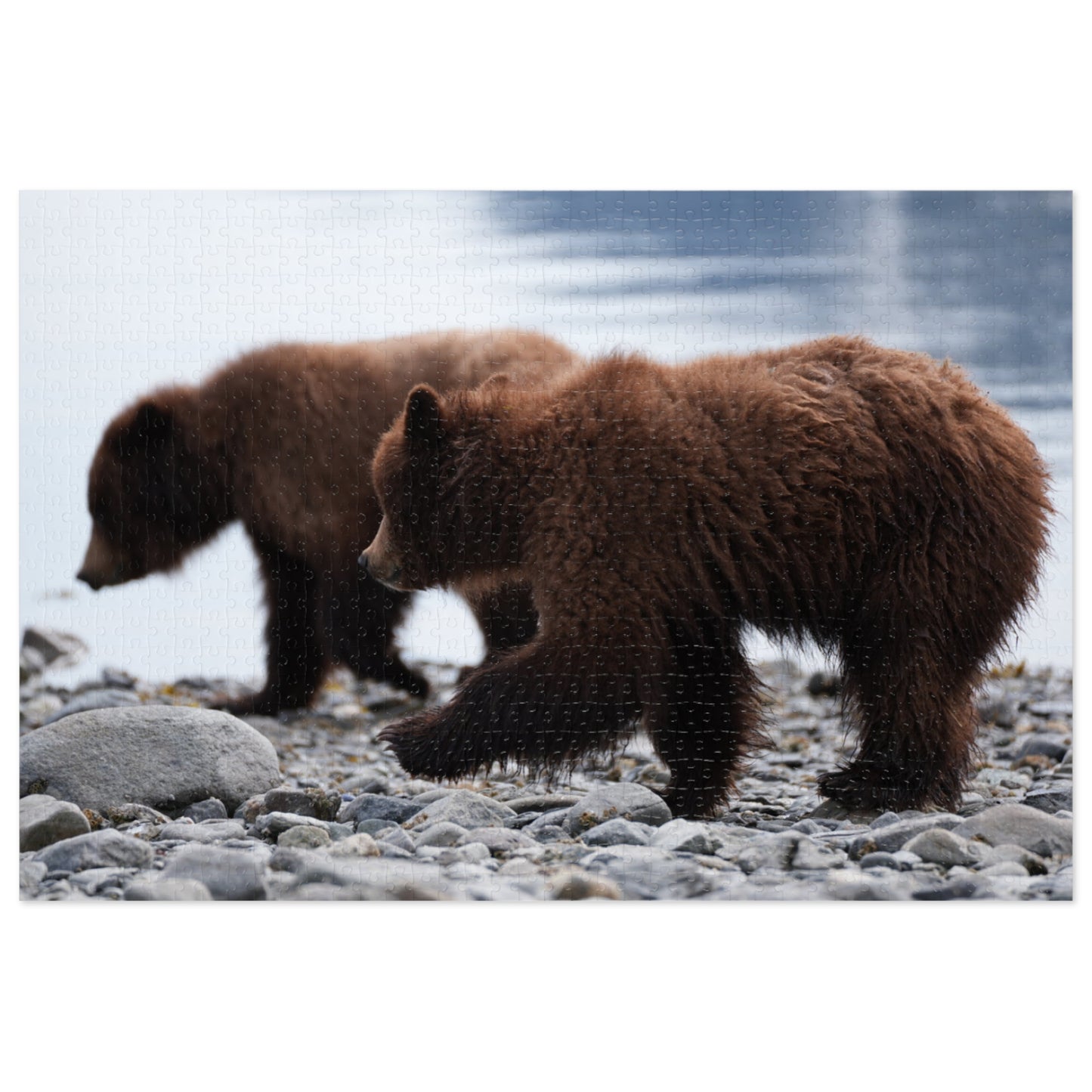 Cuddle Up with Grizzly Cubs!, Jigsaw Puzzle with Tin