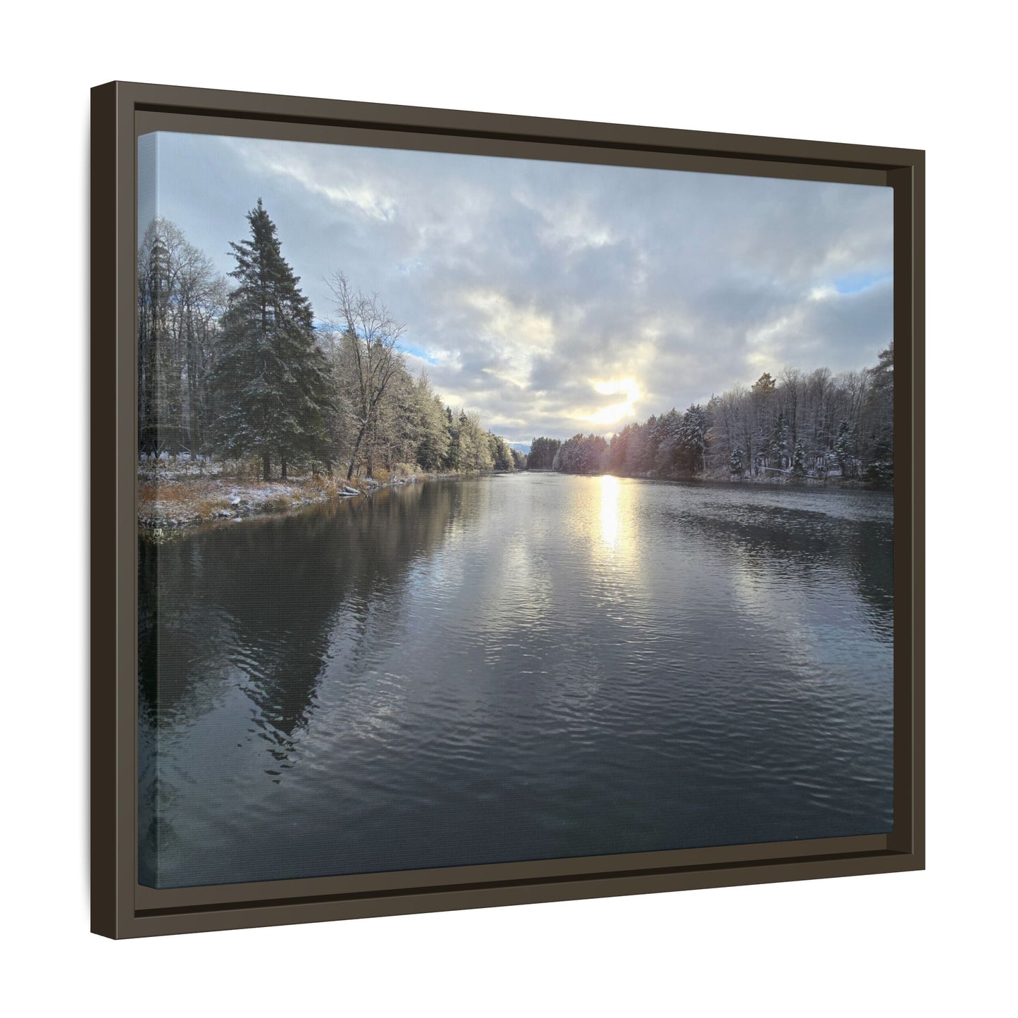 Winters Reflection
