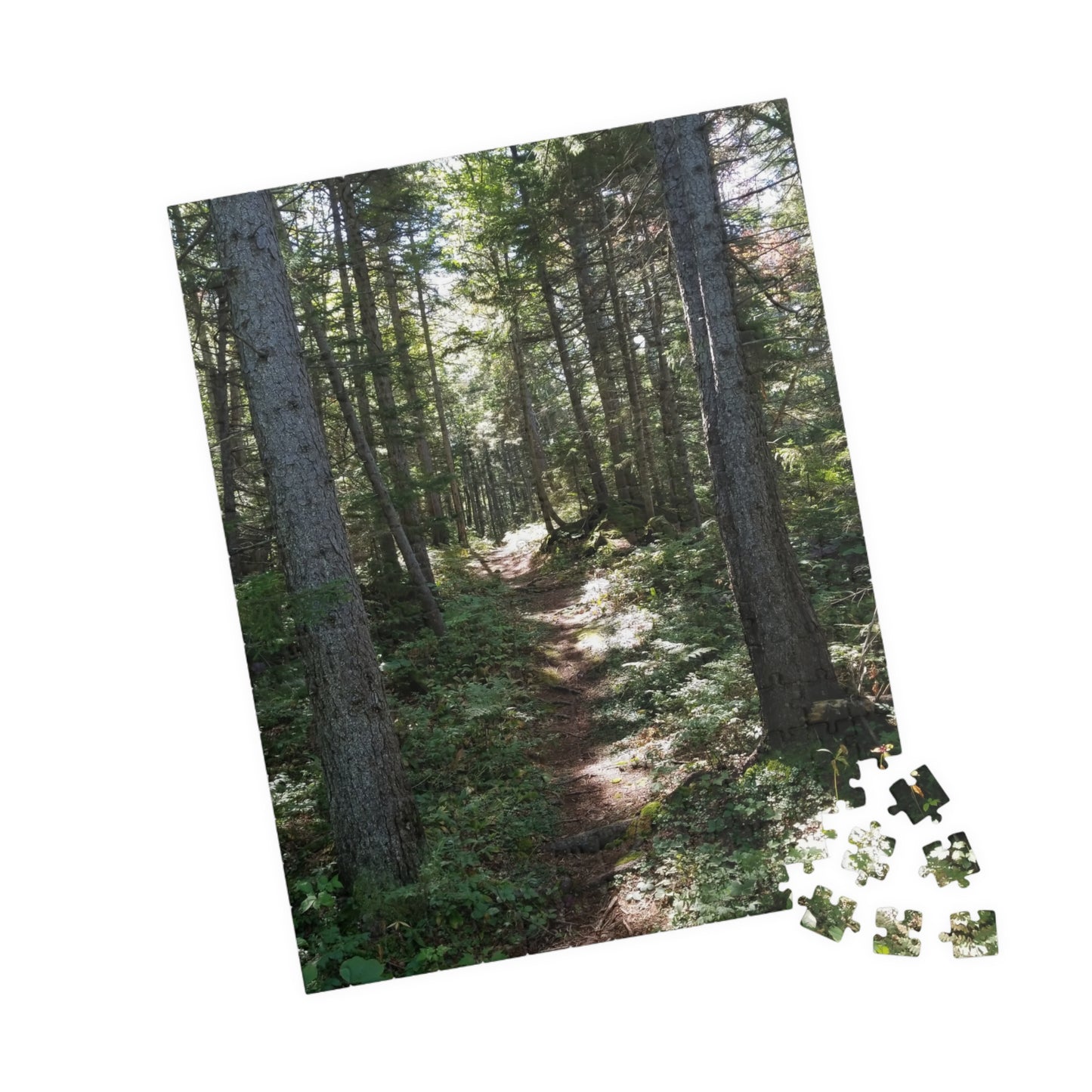 Take a Hike—Without the Mosquitoes, Jigsaw Puzzle