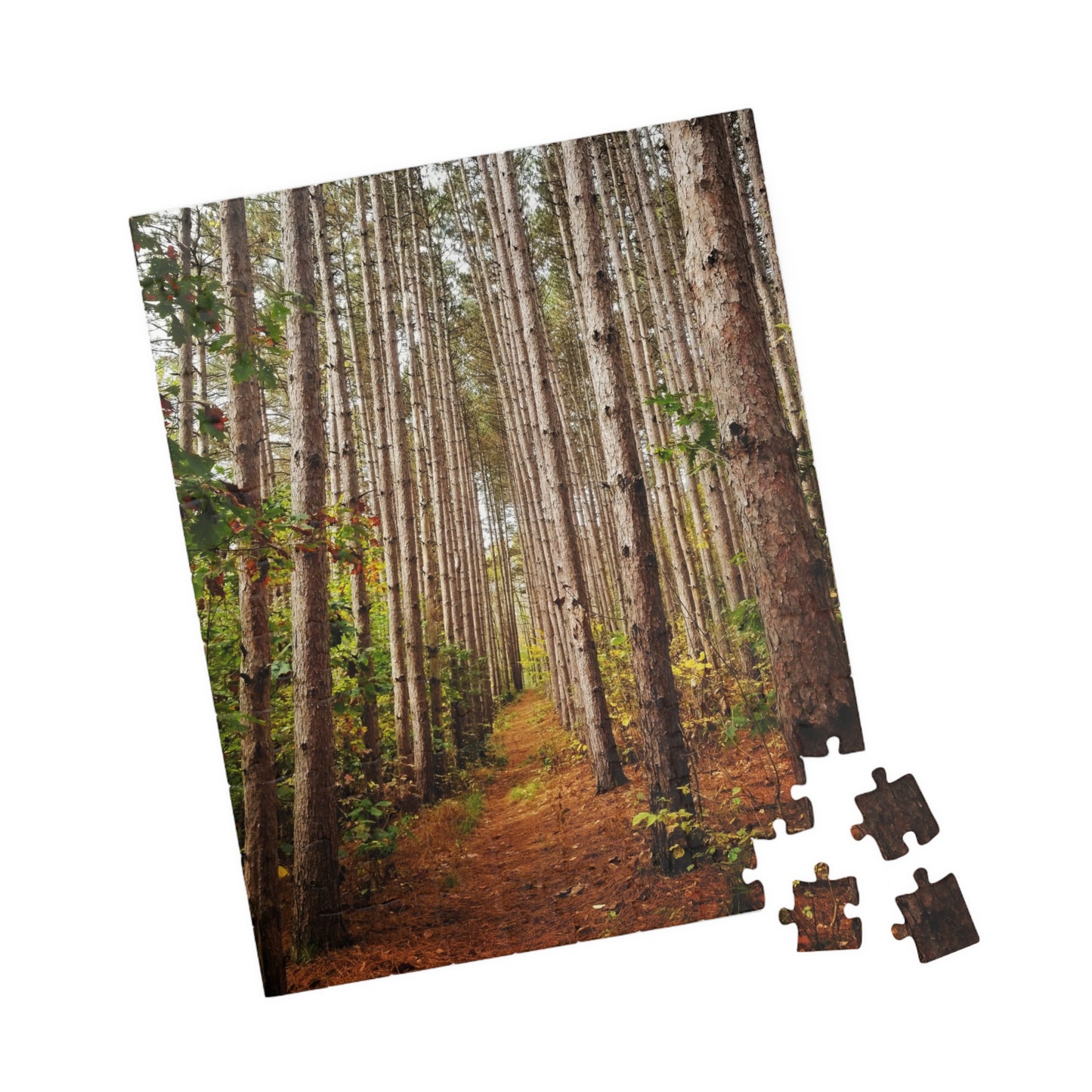 Pine-sational Puzzling: A Walk on the Wild Side, Jigsaw Puzzle, Brain Teaser, Relaxation Activity, Cabin Decor, Holiday Gift