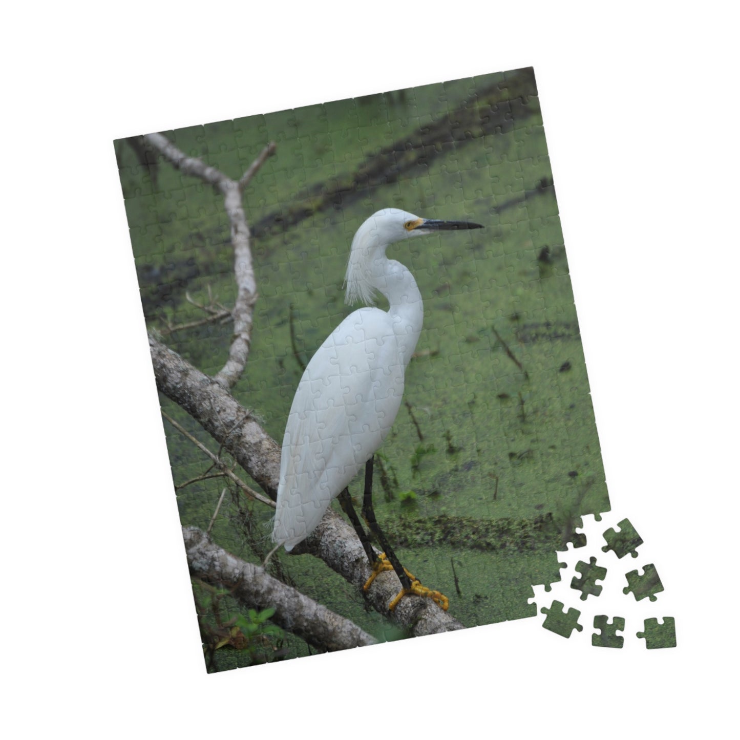 Egret Expectations: A Puzzling Escape into Serenity, Jigsaw Puzzle, Little Egret