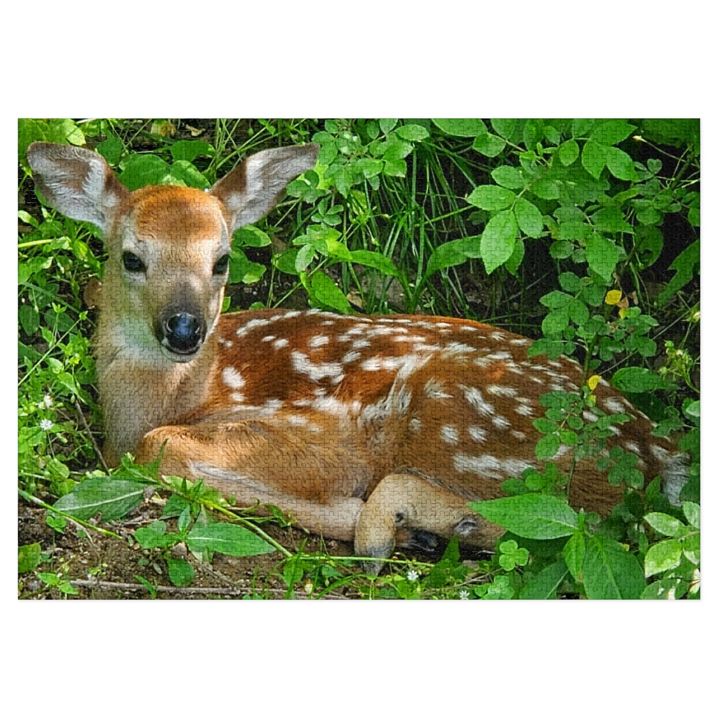 Oh Deer, Another Puzzle!, Jigsaw Puzzle, Fawn Design