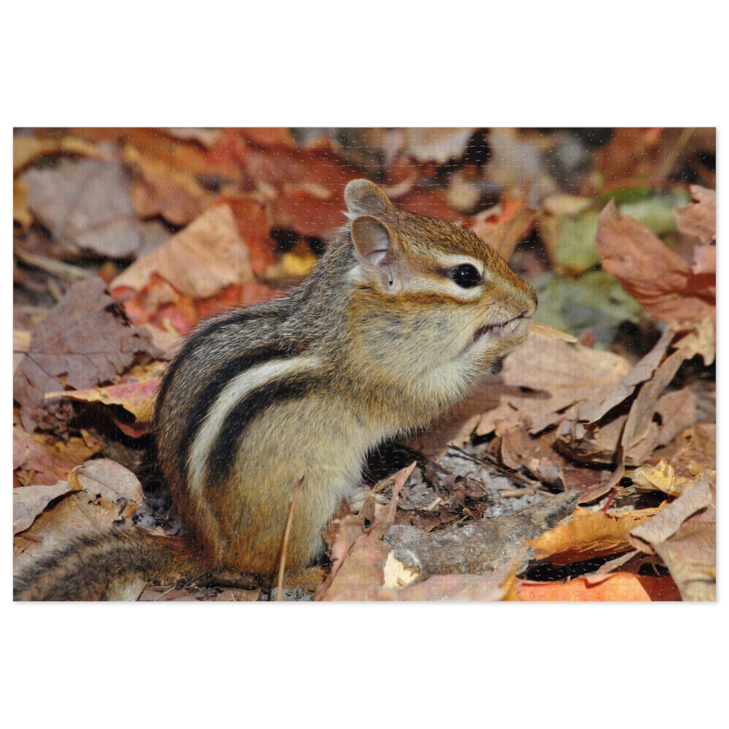 Charming Chipmunk Chaos, Jigsaw Puzzle, Chipmunk Design