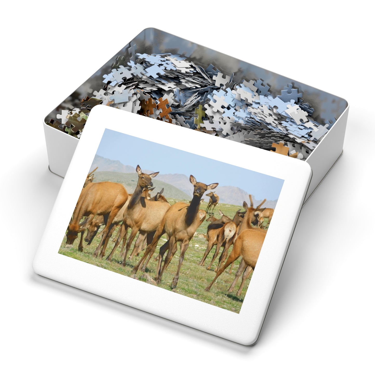 Elk-straordinary Challenge, Jigsaw Puzzle, Rocky Mountain Elk Herd