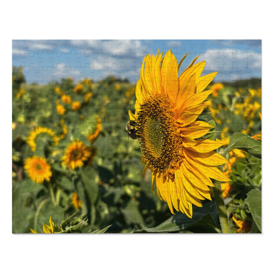 Jigsaw Puzzle - Bumble Bee on a Sunflower