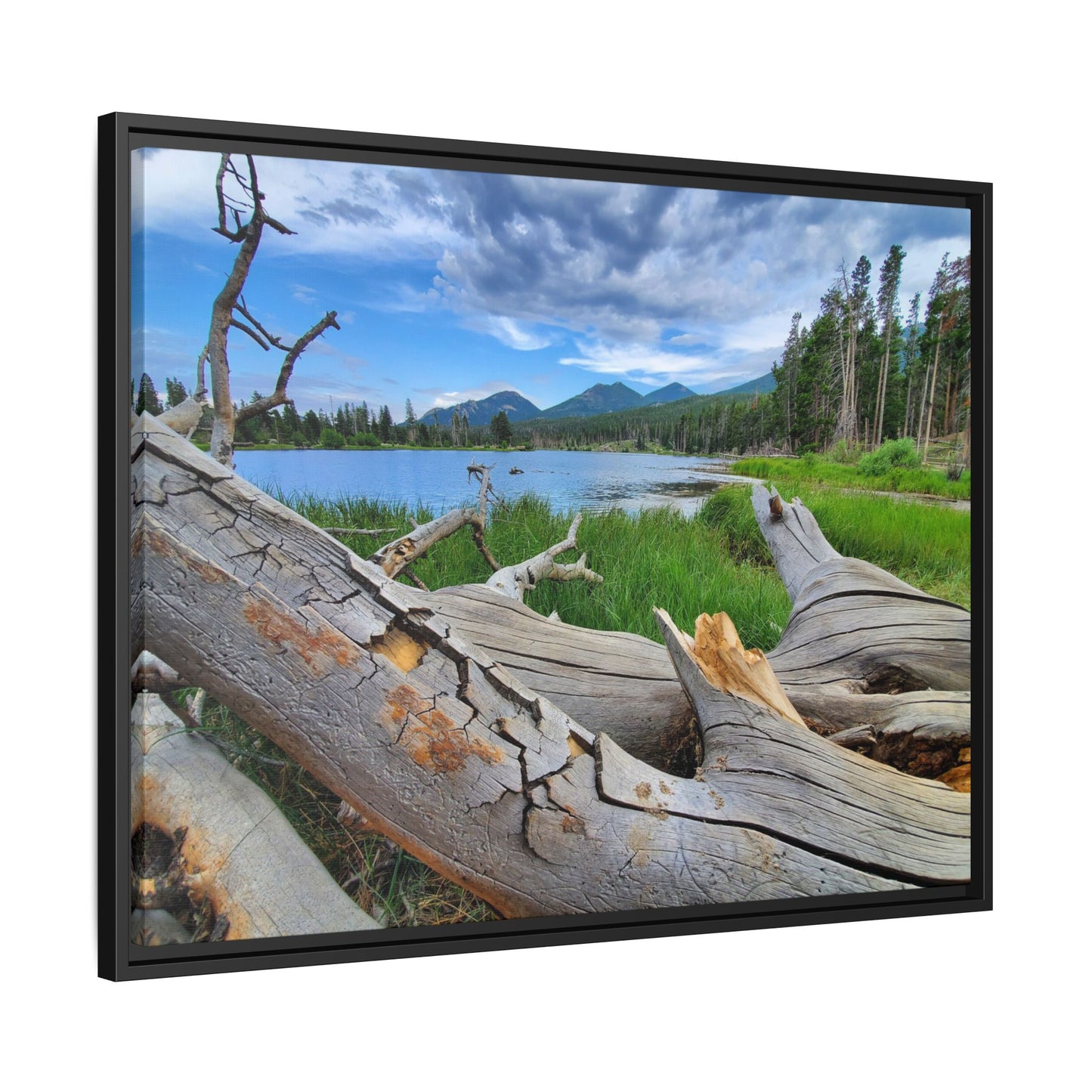 Sprague Lake