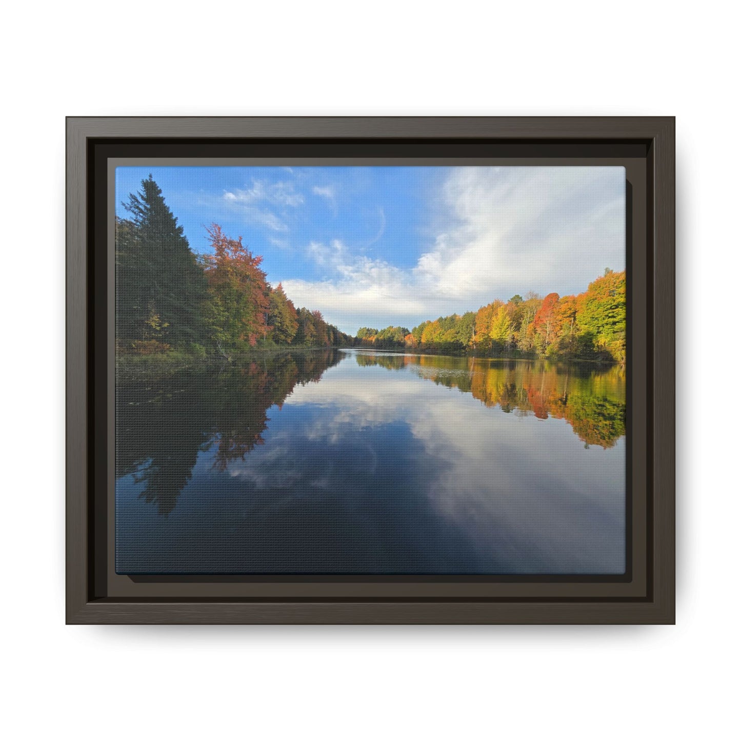 Remington Pond: Nature Showing Off Again
