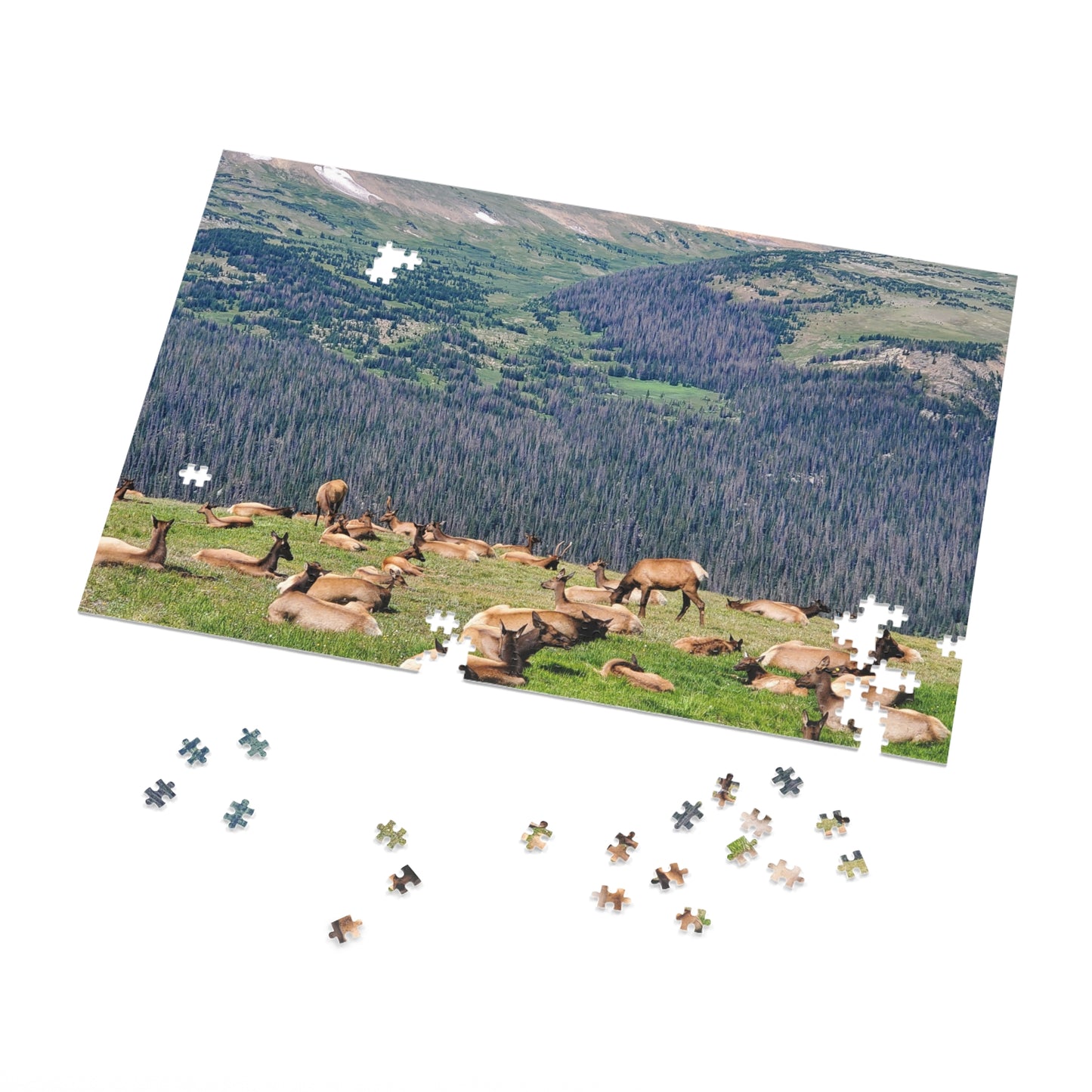 Elk-tastic Puzzling: A Wild Adventure!, Jigsaw Puzzle, Rocky Mountain, Elk Herd