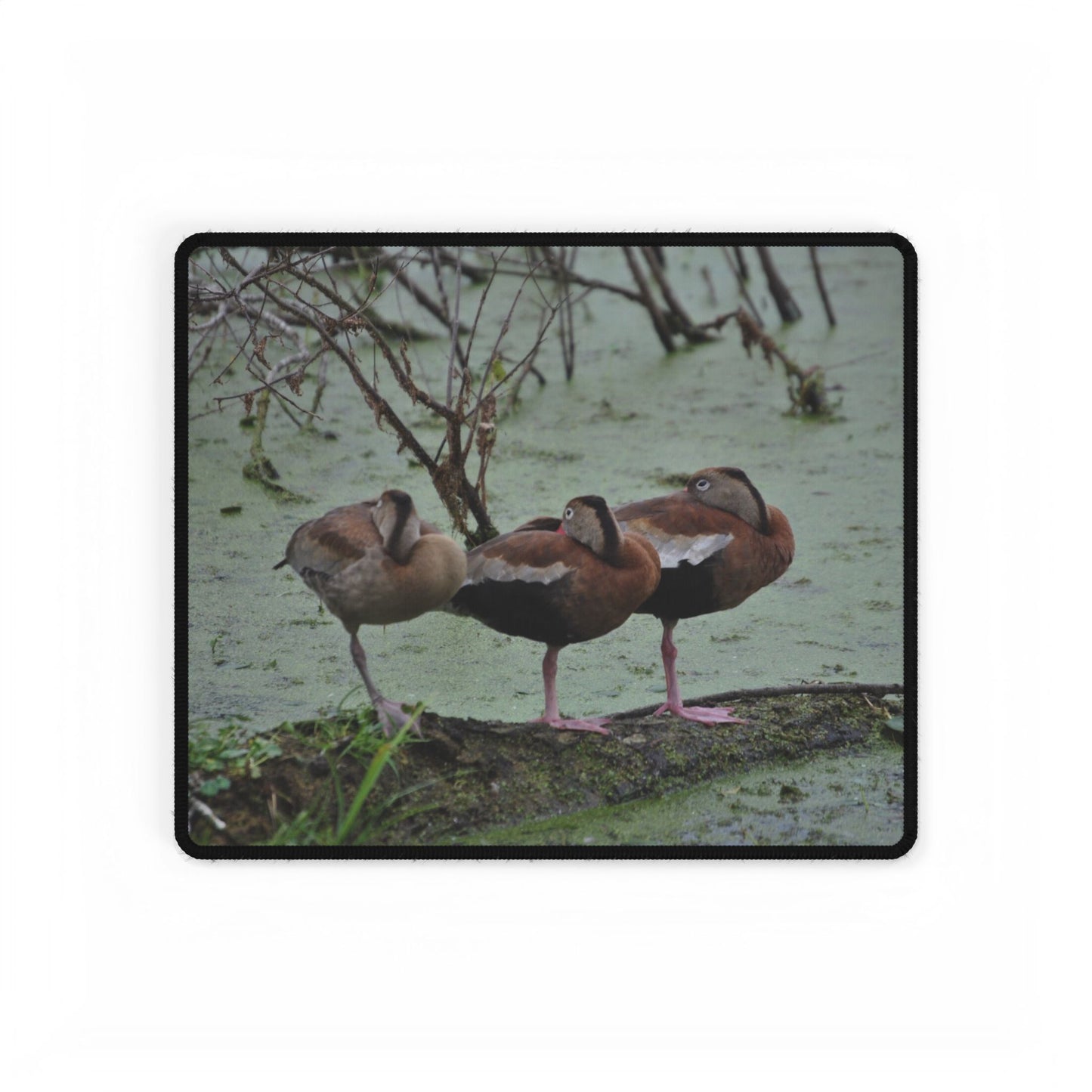 Sleeping Ducks Desk Mat, Dream Big While Pretending to Work