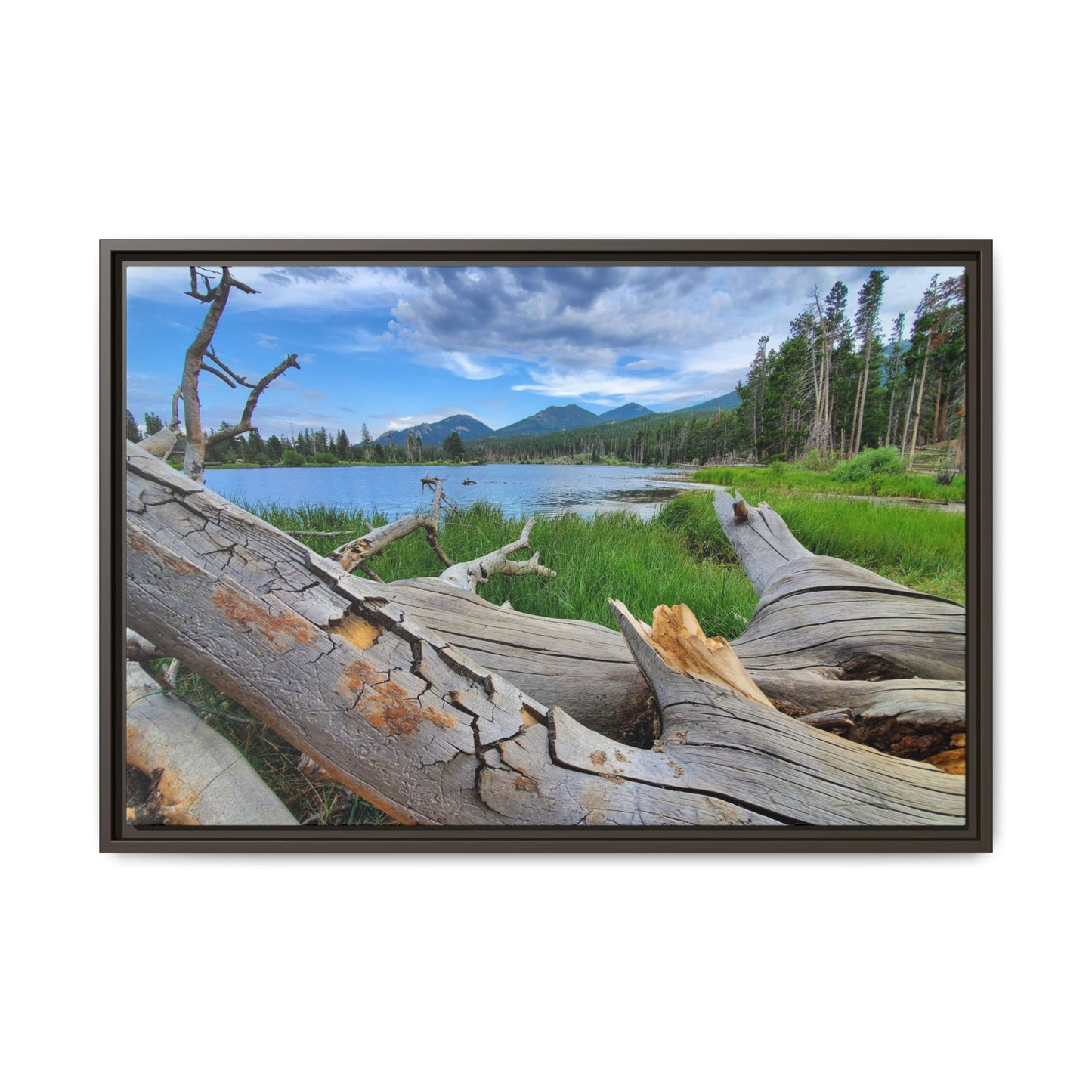 Sprague Lake