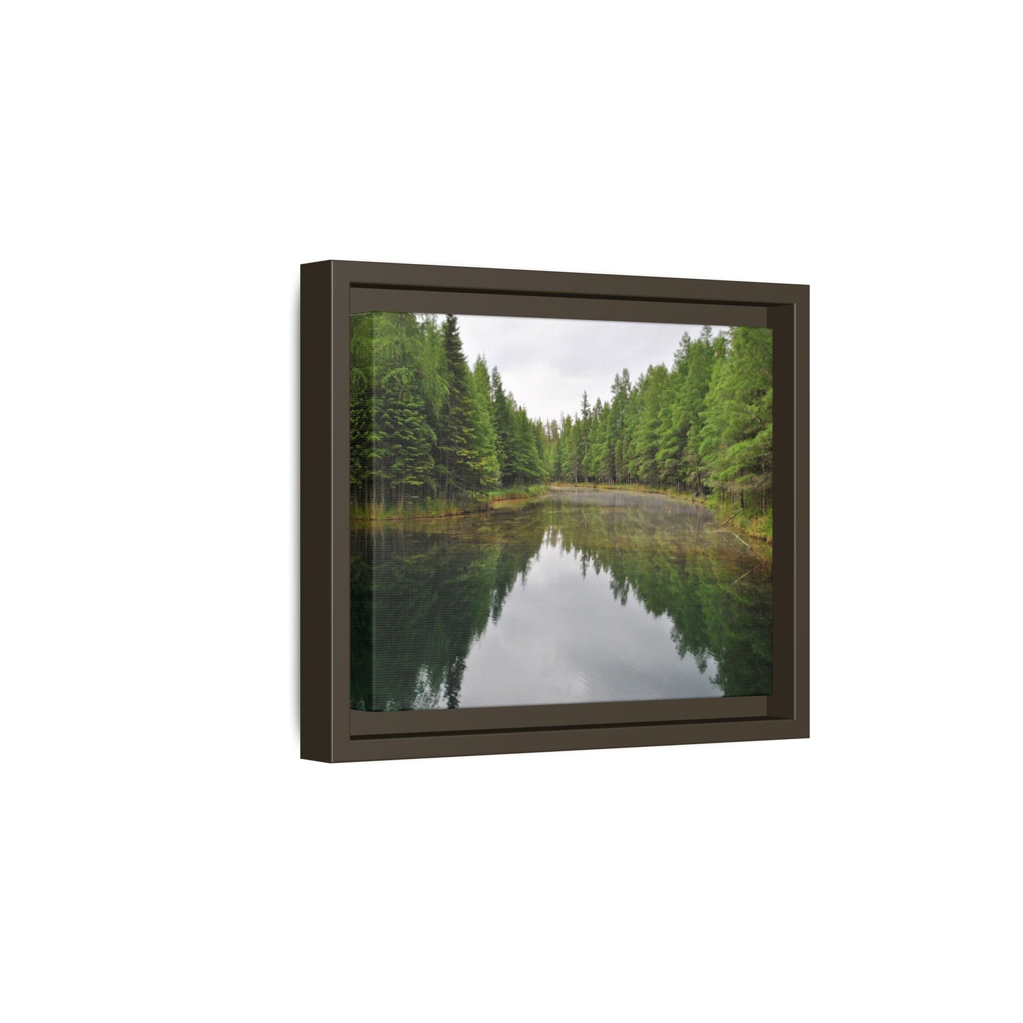 Kitch-iti-Kipi Reflection