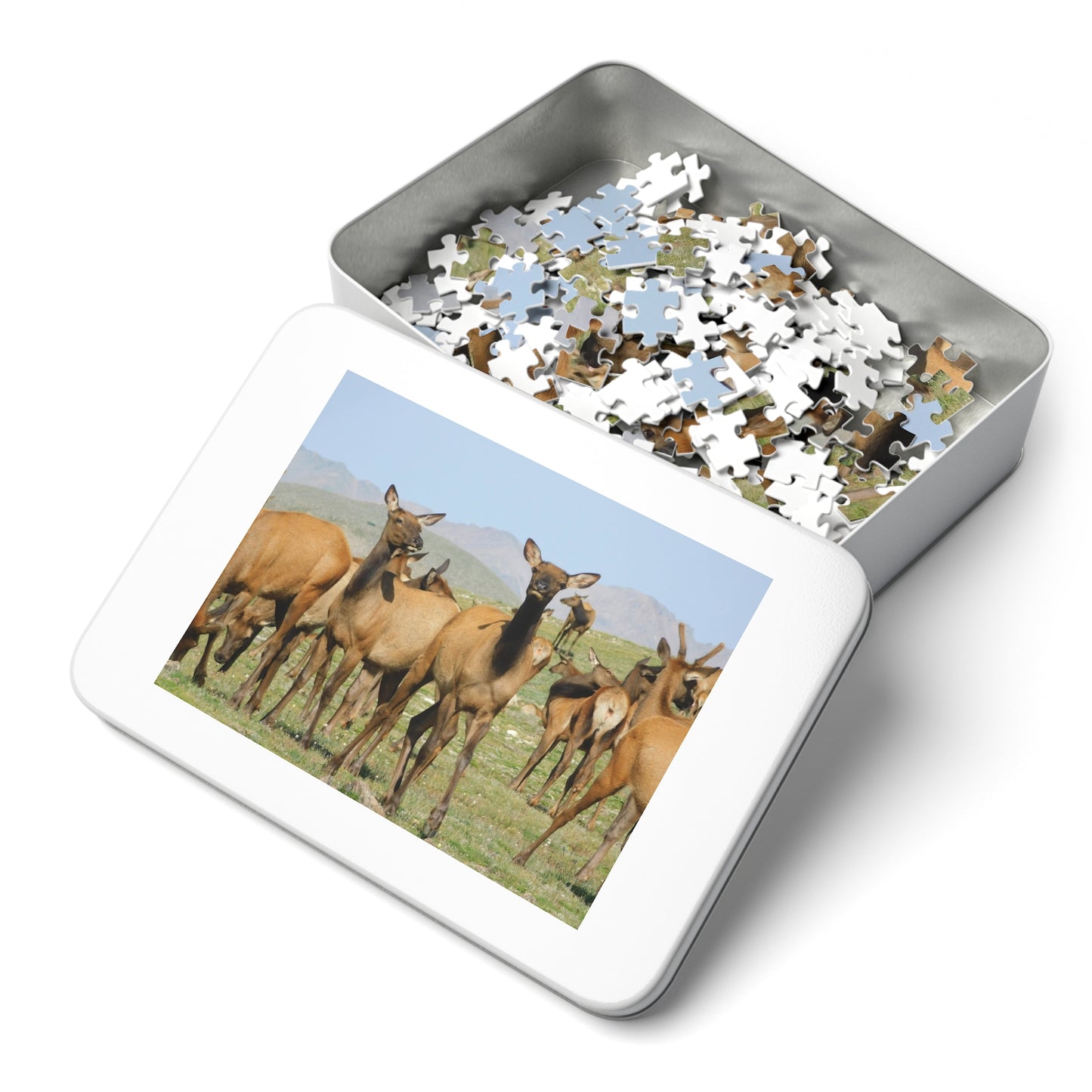 Elk-straordinary Challenge, Jigsaw Puzzle, Rocky Mountain Elk Herd