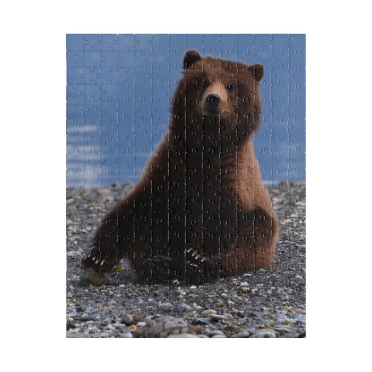 Bear With Me, Jigsaw Puzzle, Grizzly Cub