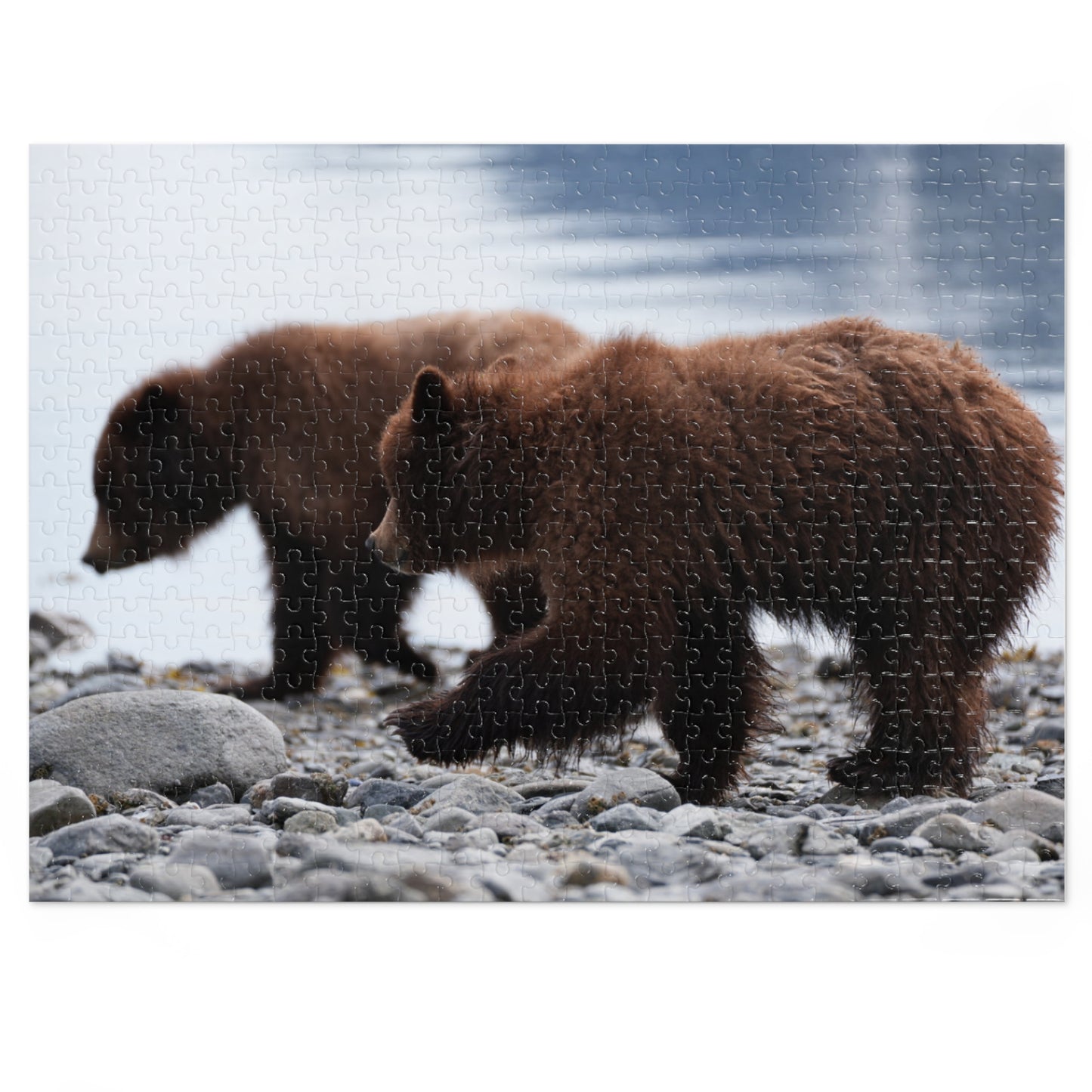 Cuddle Up with Grizzly Cubs!, Jigsaw Puzzle with Tin