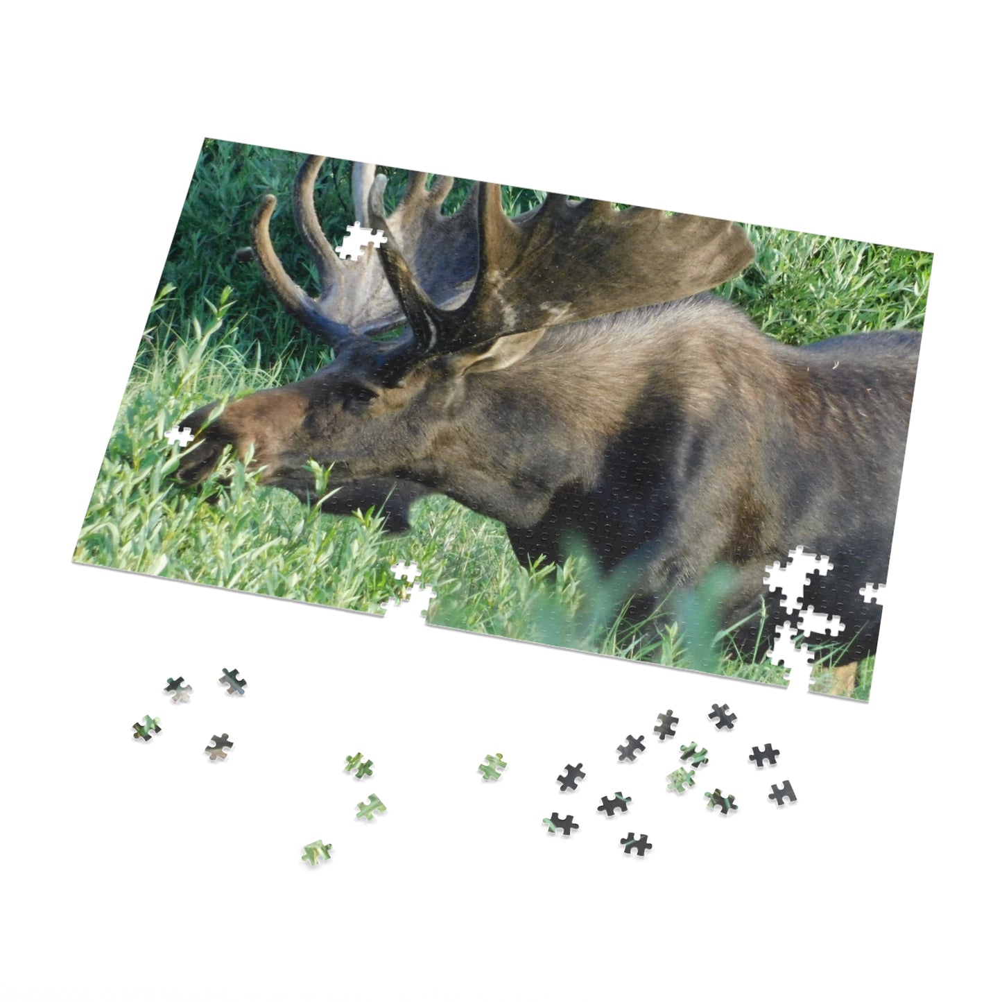 Moose on the Loose: Puzzle Edition, Jigsaw Puzzle, Rocky Mountain