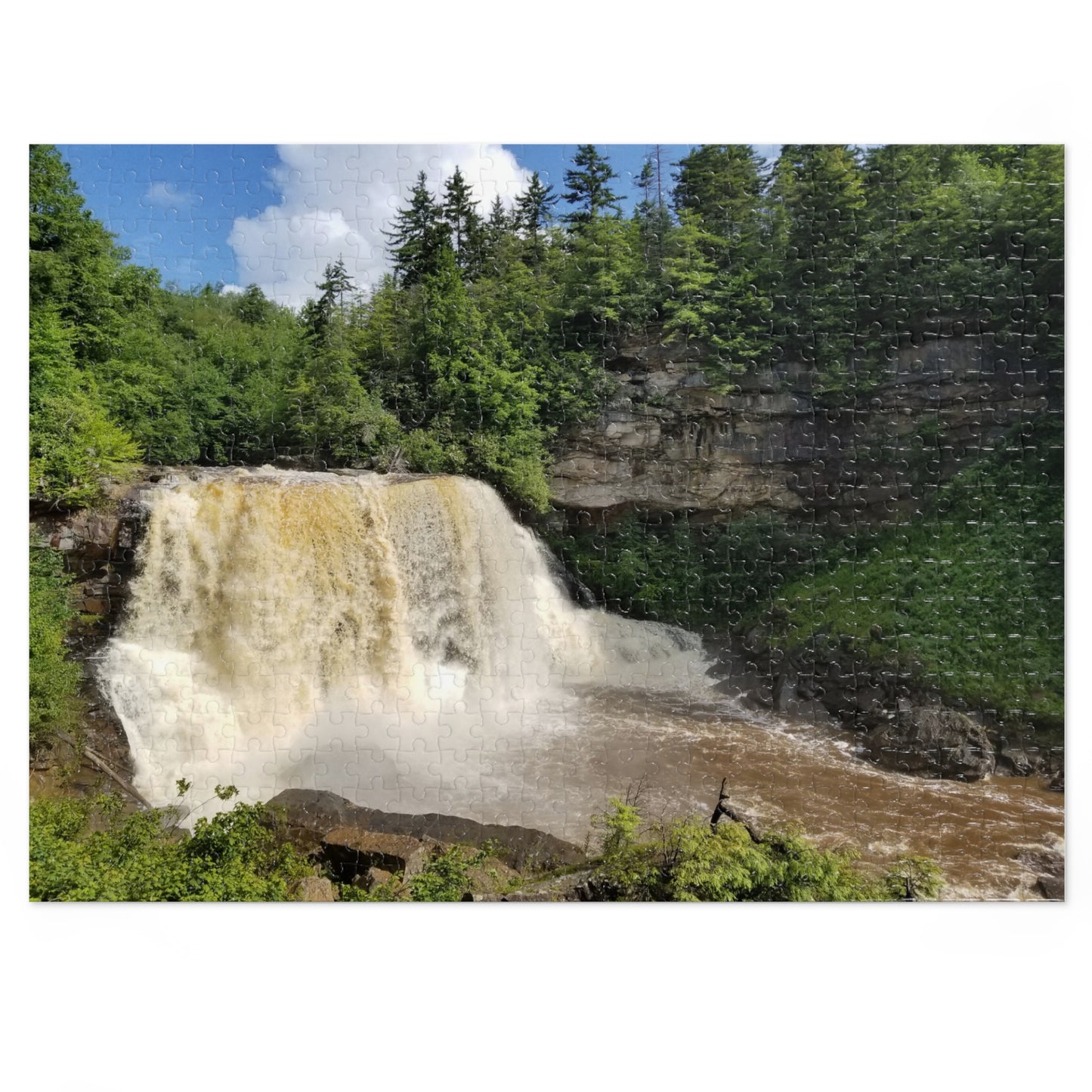 Don't Go Chasing Waterfalls... Piece Them Together, Jigsaw Puzzle, Blackwater Falls