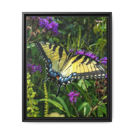 Tiger in the Wildflowers