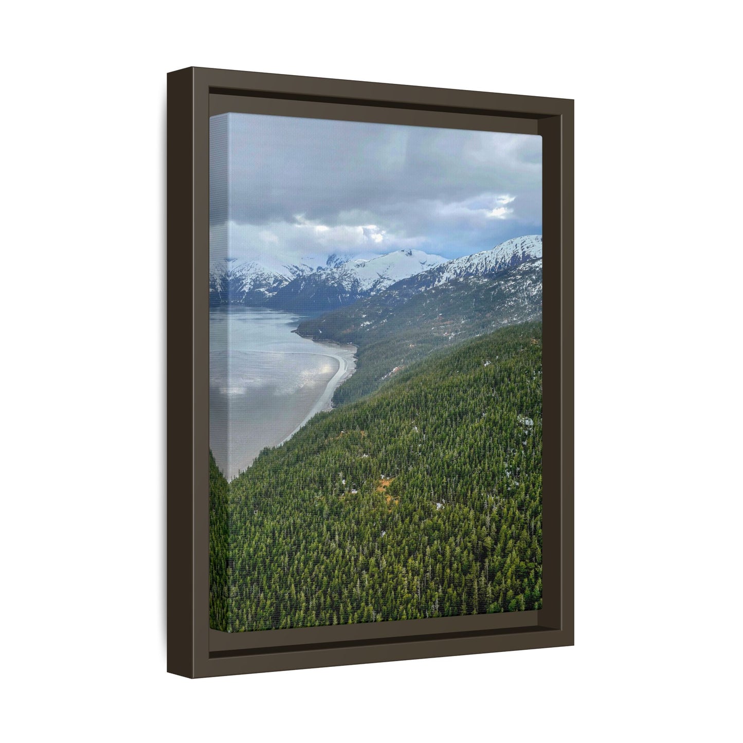 Alaska Mountains Aerial