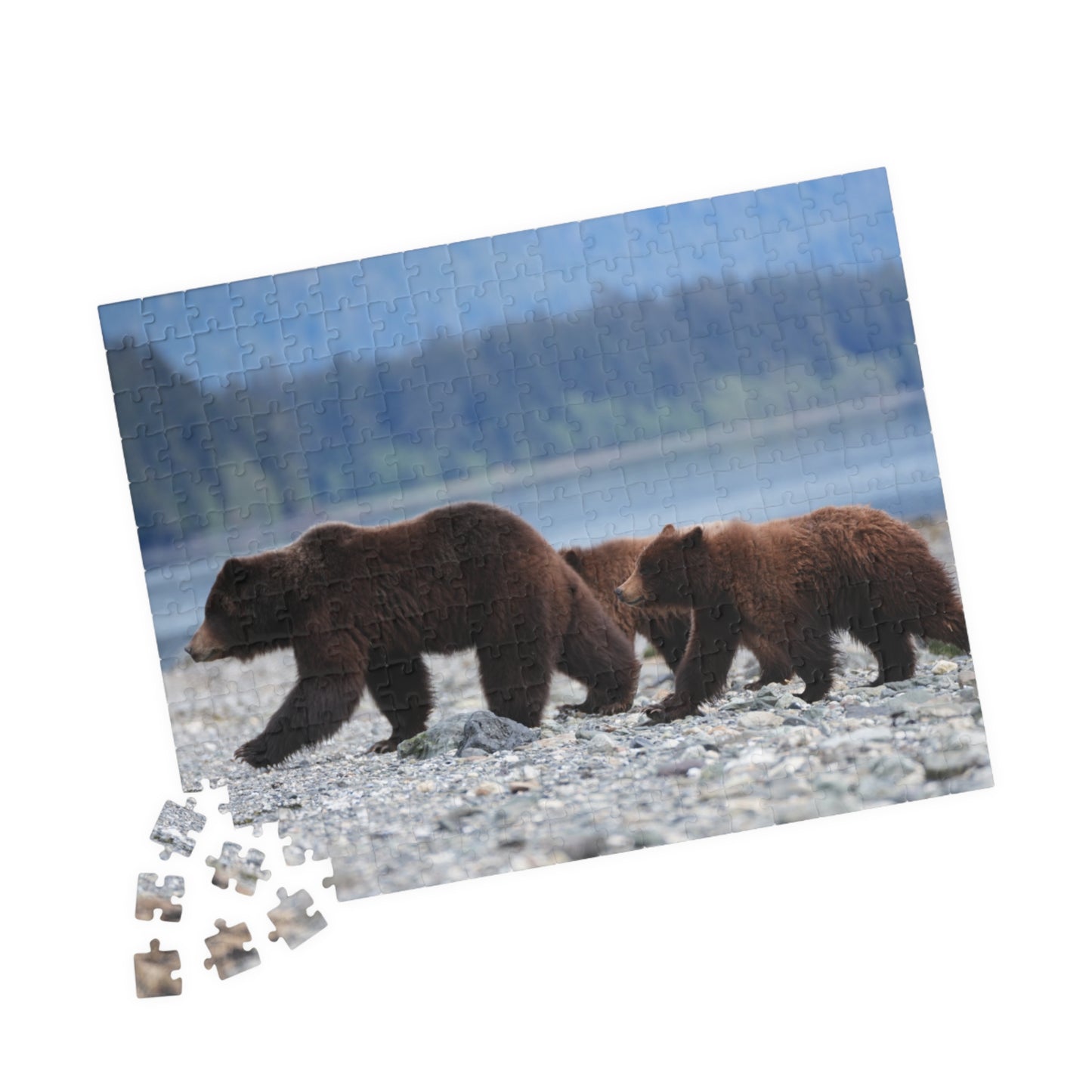 Clamming Up: A Bear-y Fun Puzzle Adventure, Jigsaw Puzzle, Jigsaw Game for Kids and Adults, Wildlife Animal Design, Relaxing Hobby