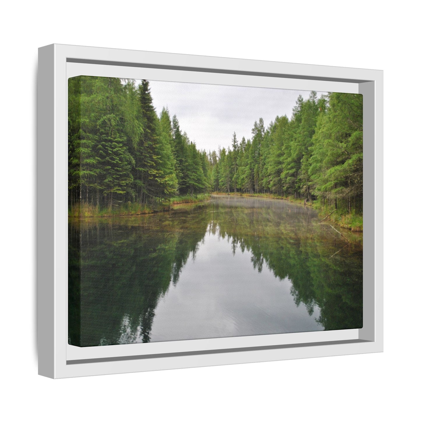 Kitch-iti-Kipi Reflection