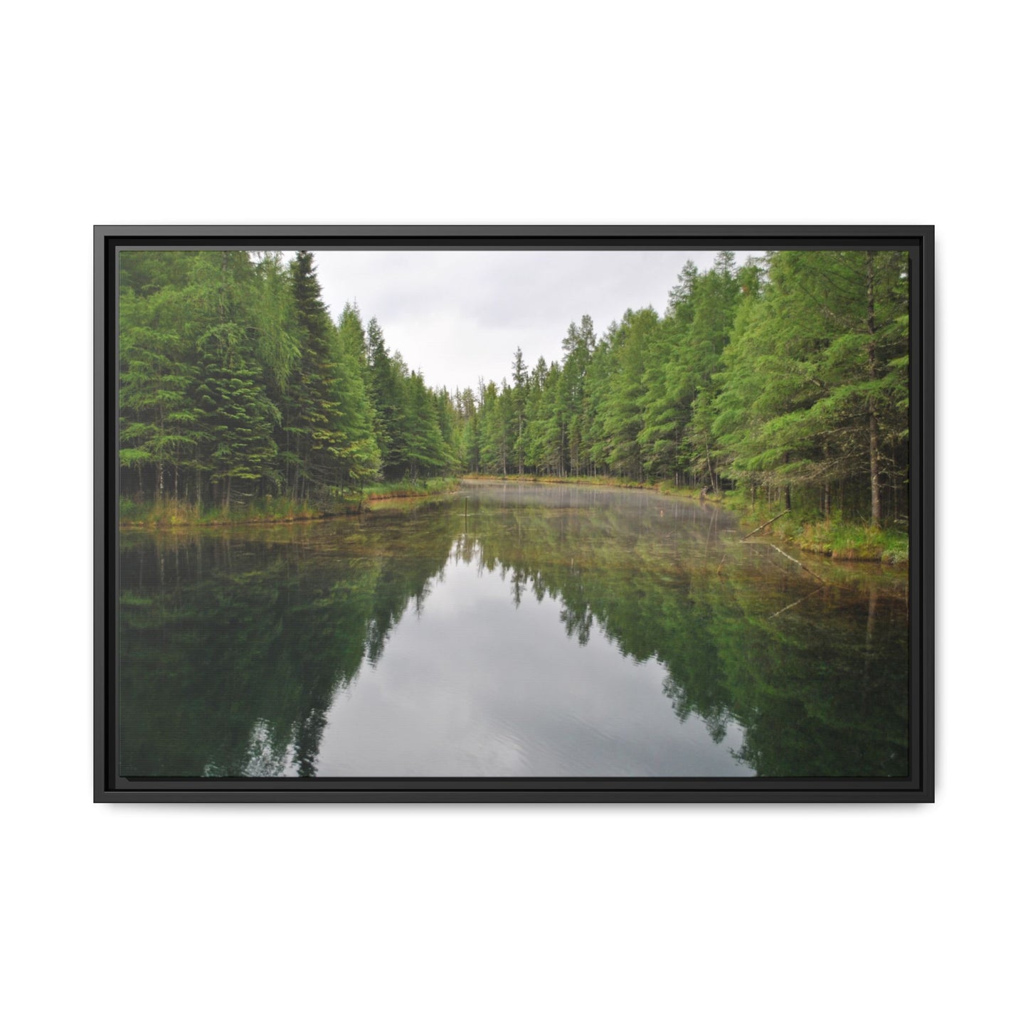 Kitch-iti-Kipi Reflection