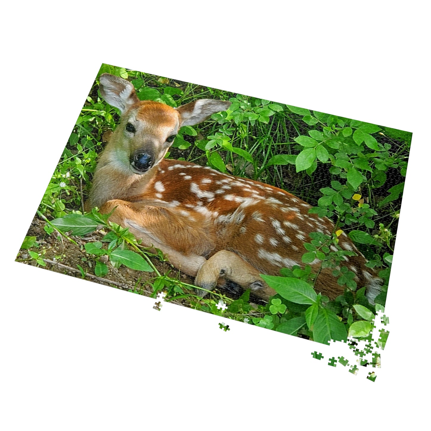 Oh Deer, Another Puzzle!, Jigsaw Puzzle, Fawn Design