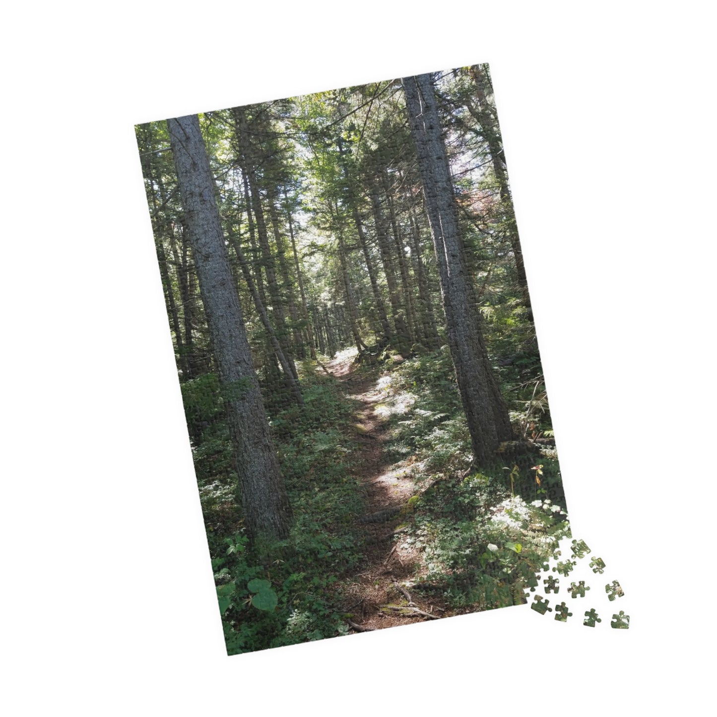 Take a Hike—Without the Mosquitoes, Jigsaw Puzzle