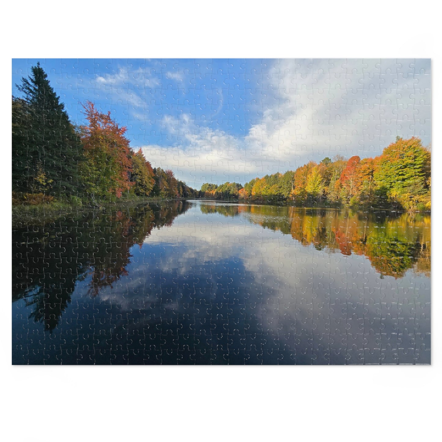 Pond Reflections, Nature Puzzle