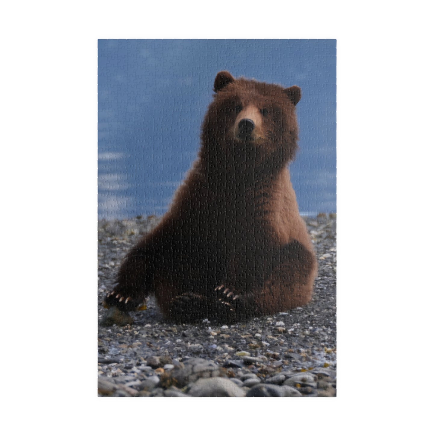 Bear With Me, Jigsaw Puzzle, Grizzly Cub