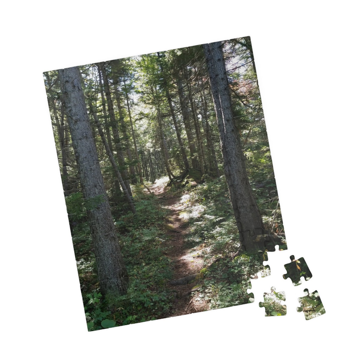 Take a Hike—Without the Mosquitoes, Jigsaw Puzzle