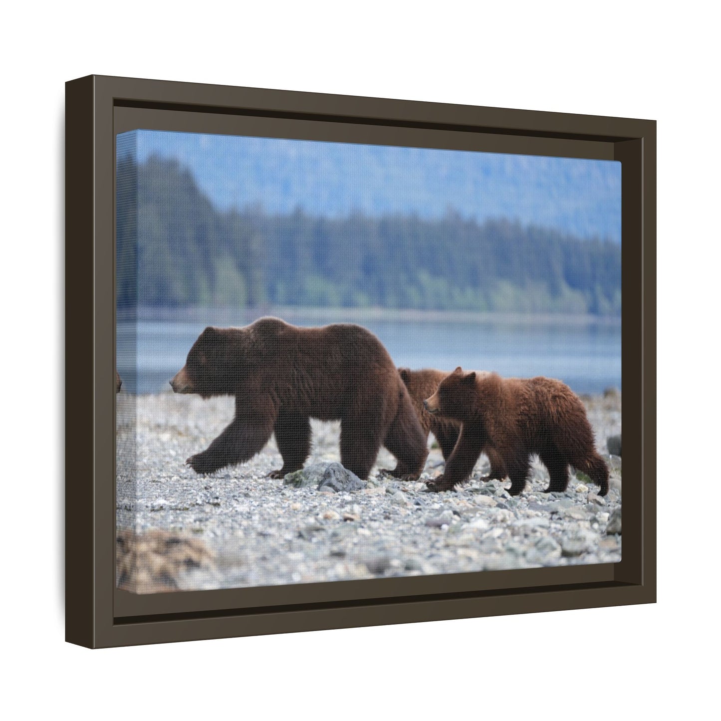 Mother Grizzly Bear & Cubs